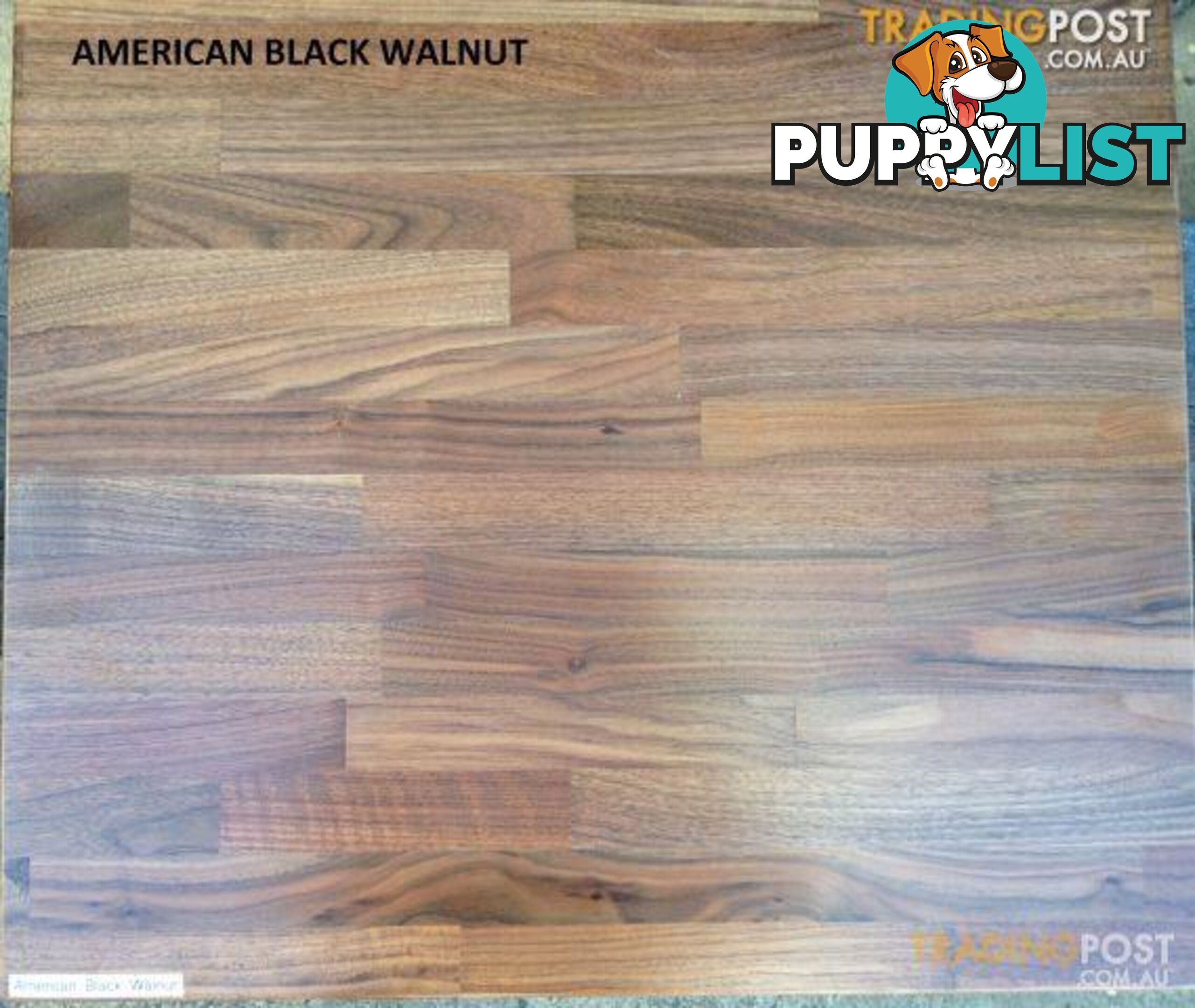 Kitchen  Bench Tops Timber