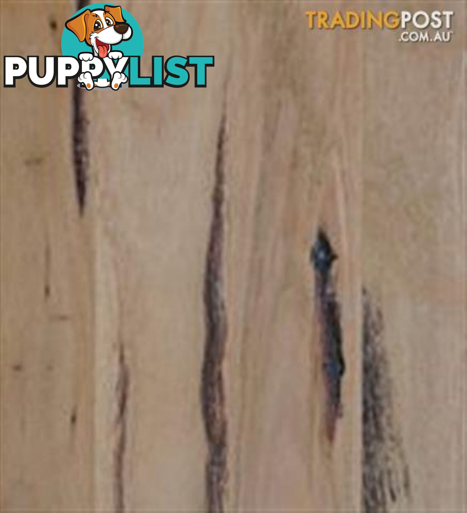 Blackbutt Hardwood Flooring Feature Grade