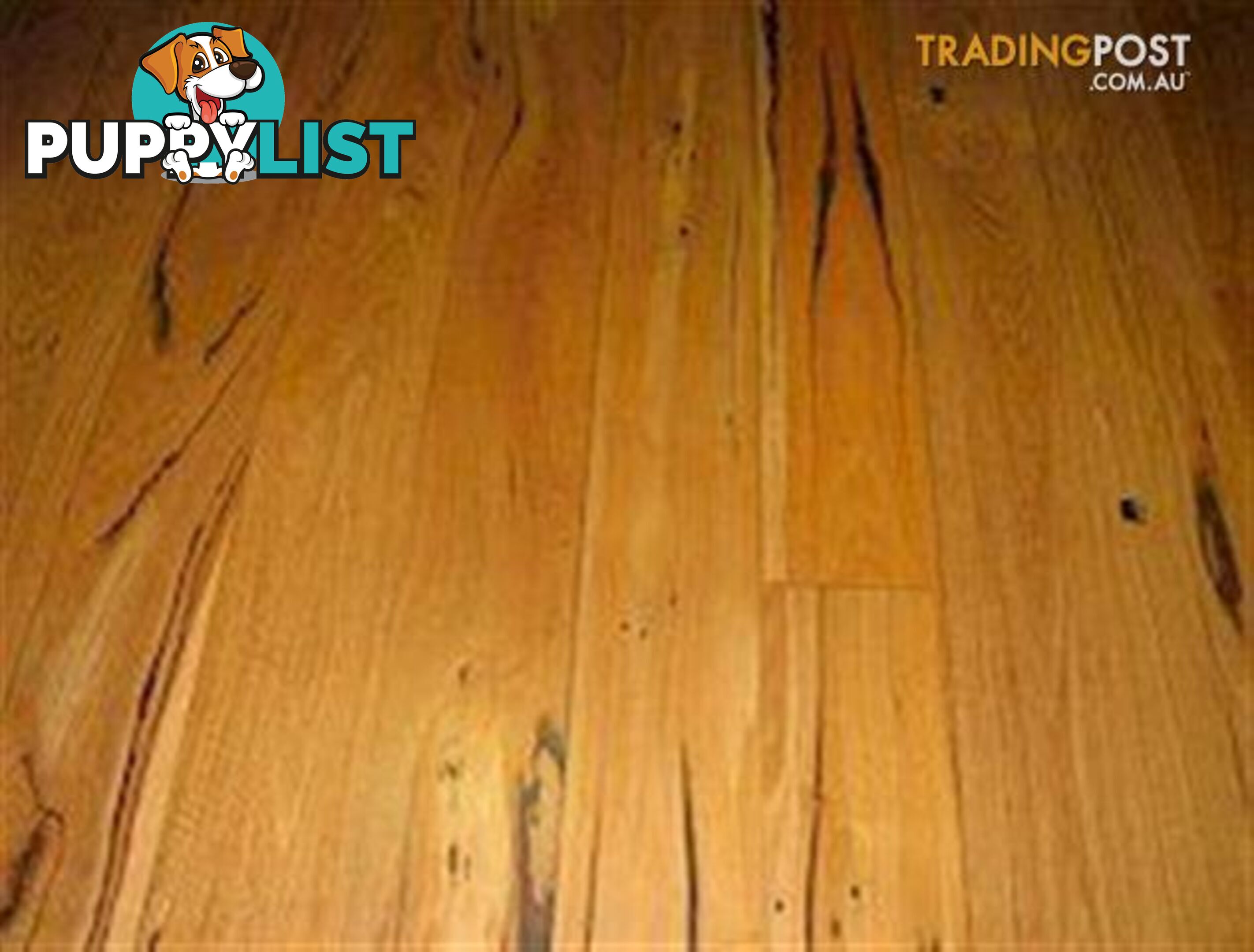 Blackbutt Hardwood Flooring Feature Grade