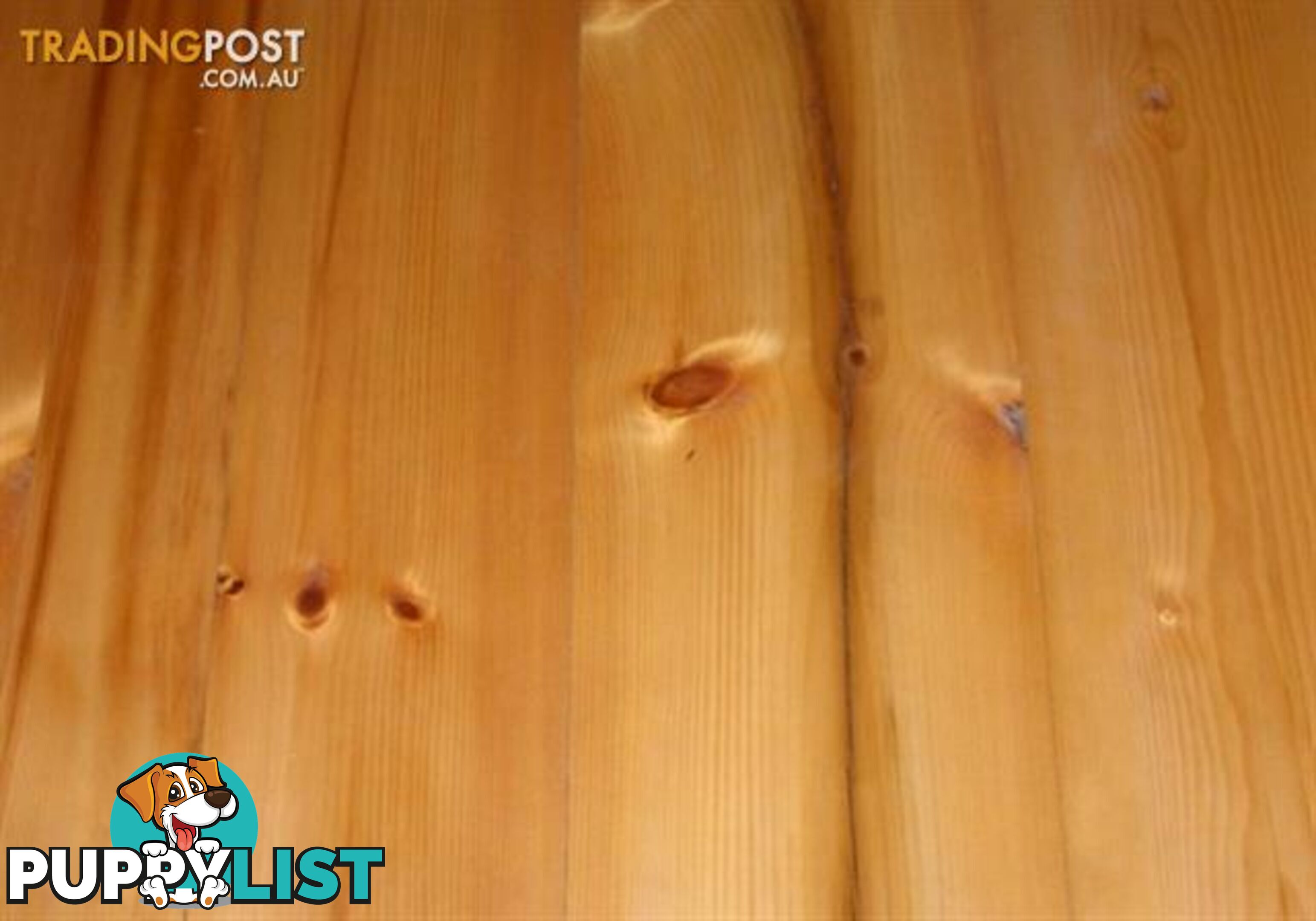 Pine Flooring Hoop T&G