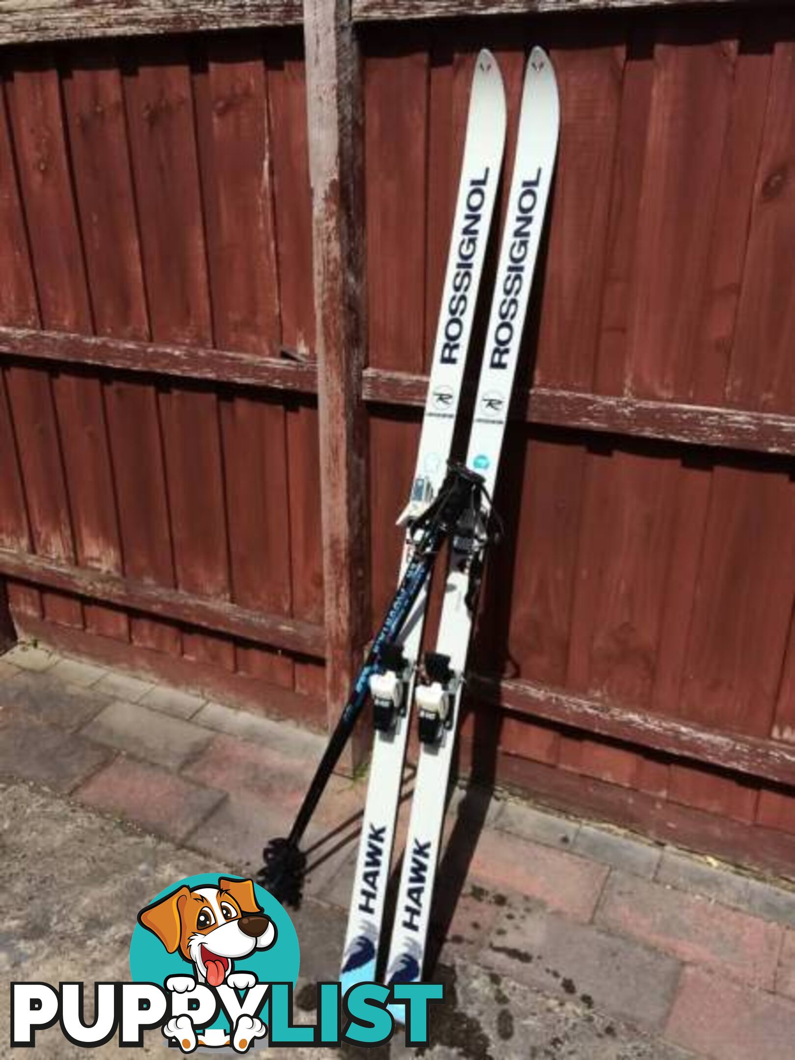 ROSSIGNOL LIMITED EDITION HAWK SKI'S & SALOMON BINDINGS