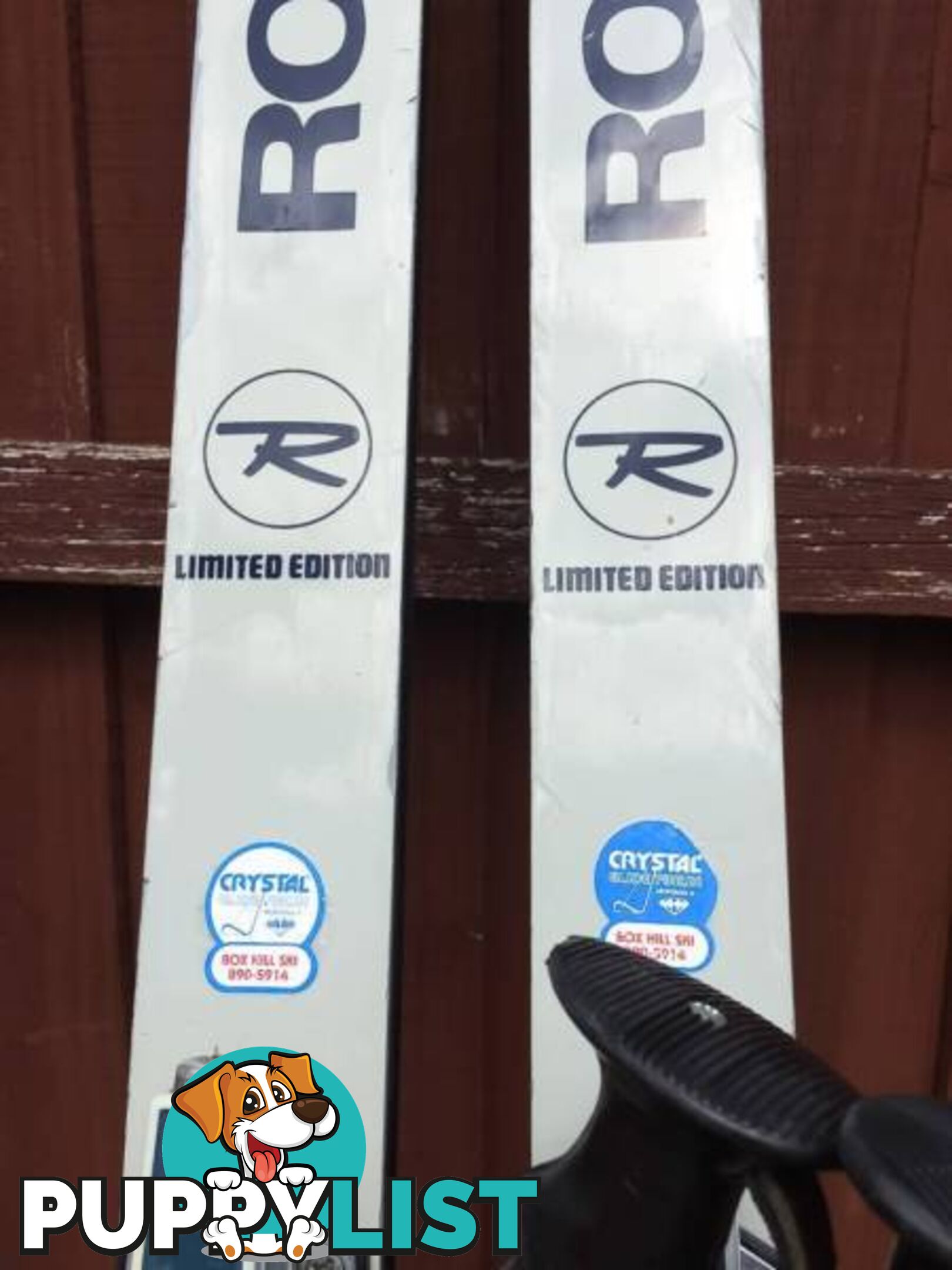 ROSSIGNOL LIMITED EDITION HAWK SKI'S & SALOMON BINDINGS