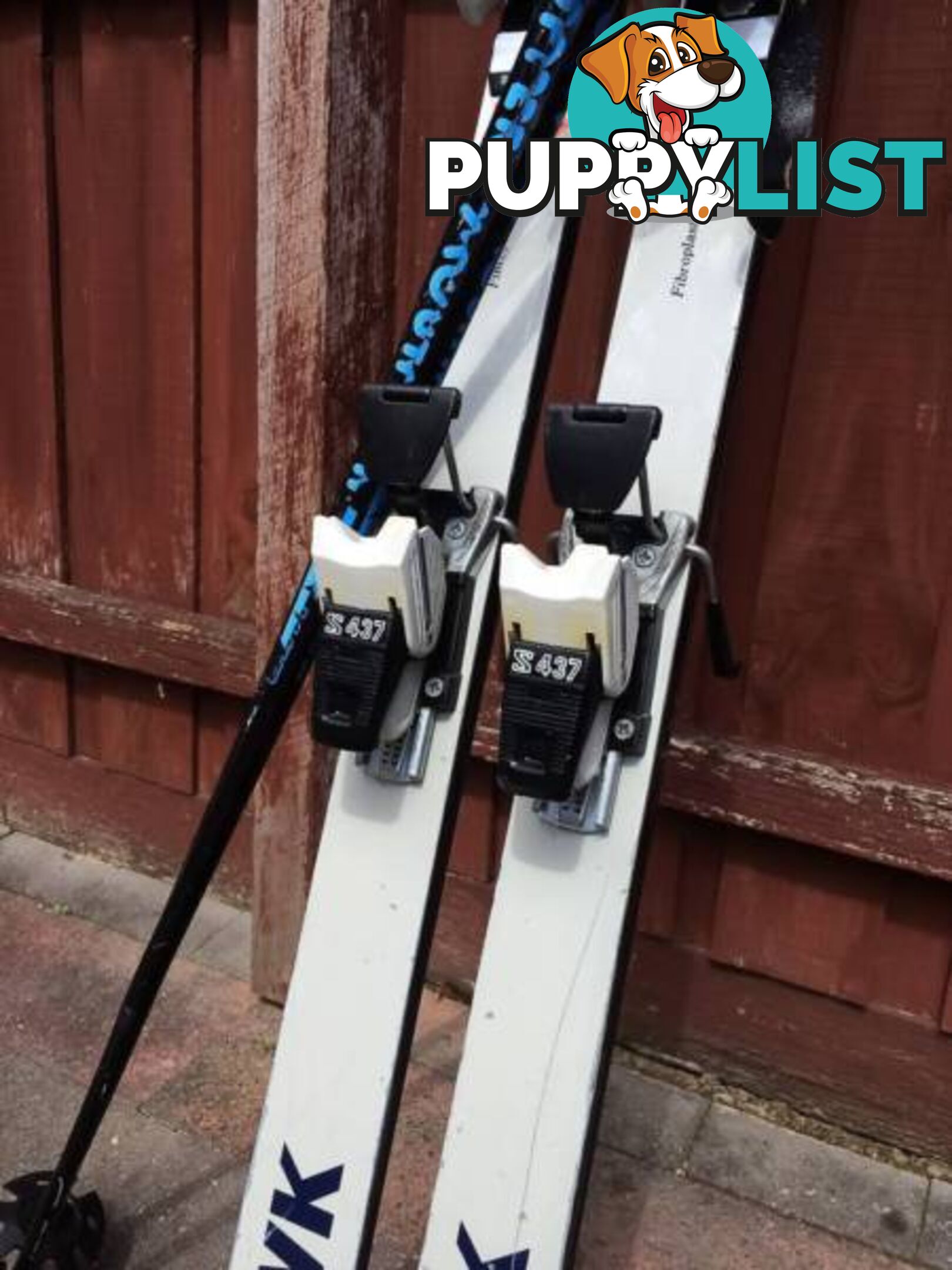 ROSSIGNOL LIMITED EDITION HAWK SKI'S & SALOMON BINDINGS