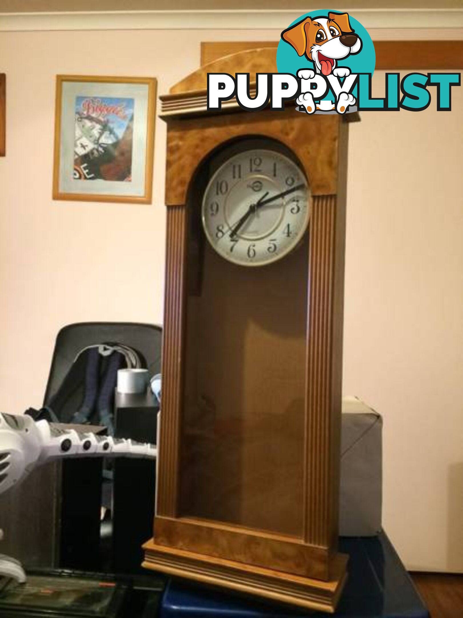 WALL MOUNTED CLOCK IN WOODEN CASE WITH GLASS DOOR