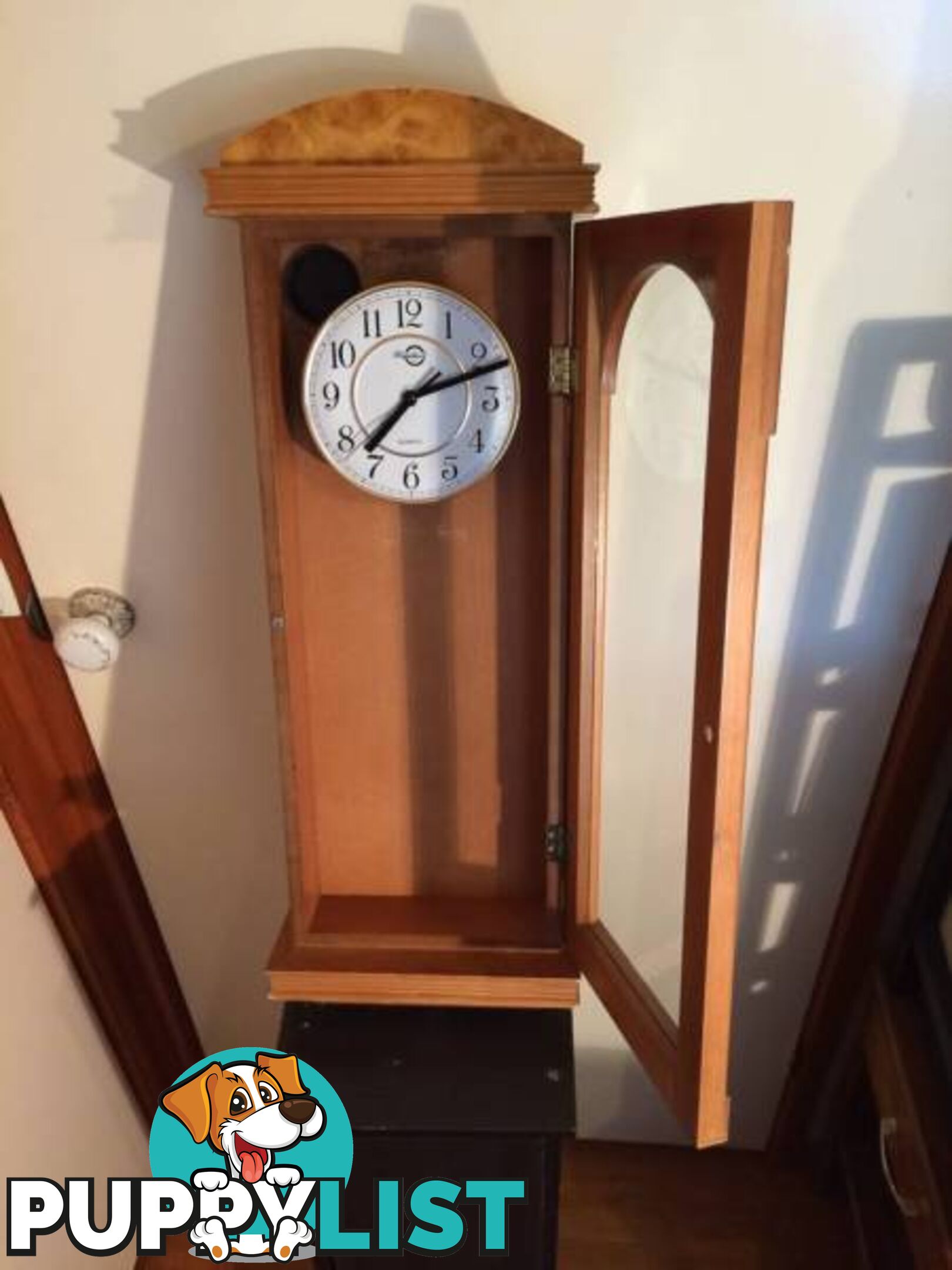 WALL MOUNTED CLOCK IN WOODEN CASE WITH GLASS DOOR