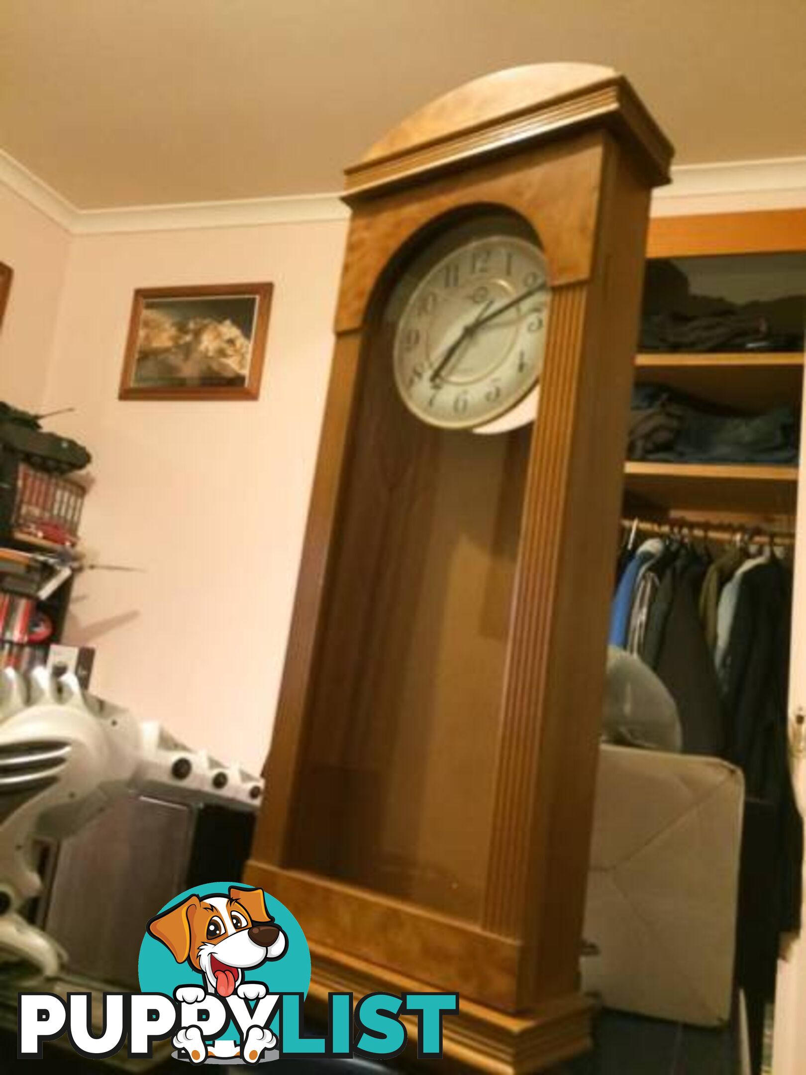 WALL MOUNTED CLOCK IN WOODEN CASE WITH GLASS DOOR