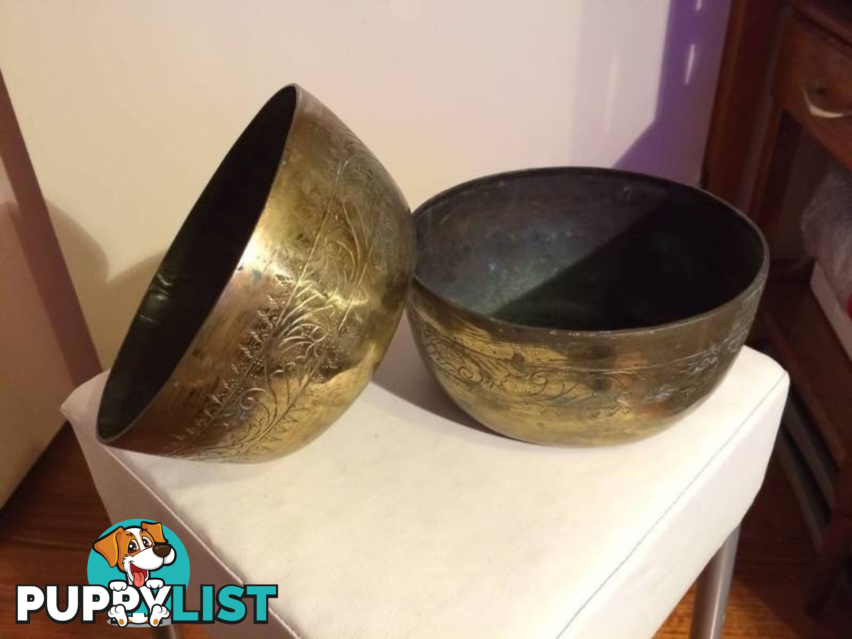 2 X COPPER PLANT POTS