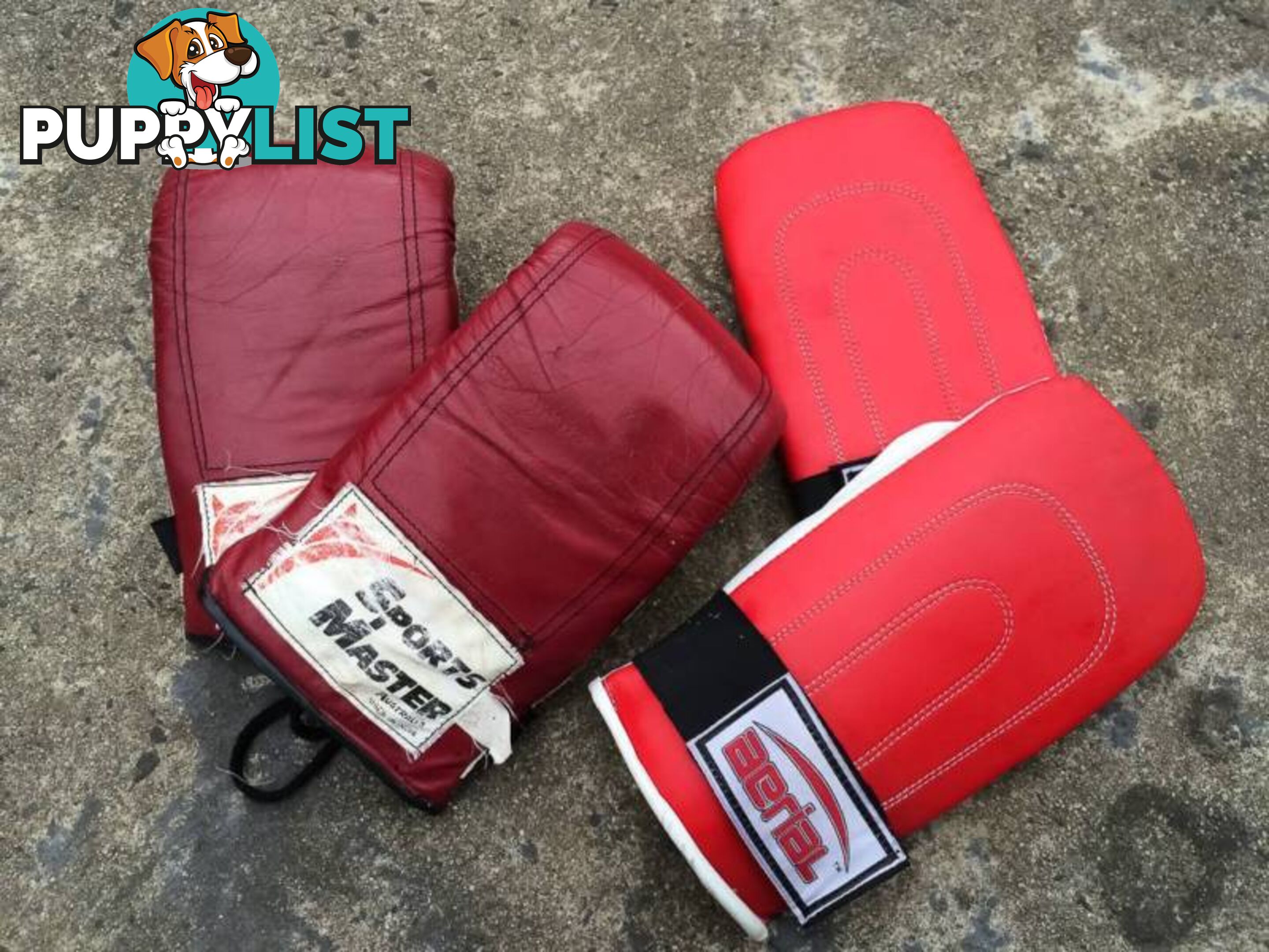 2 PAIRS OF BOXING GLOVES