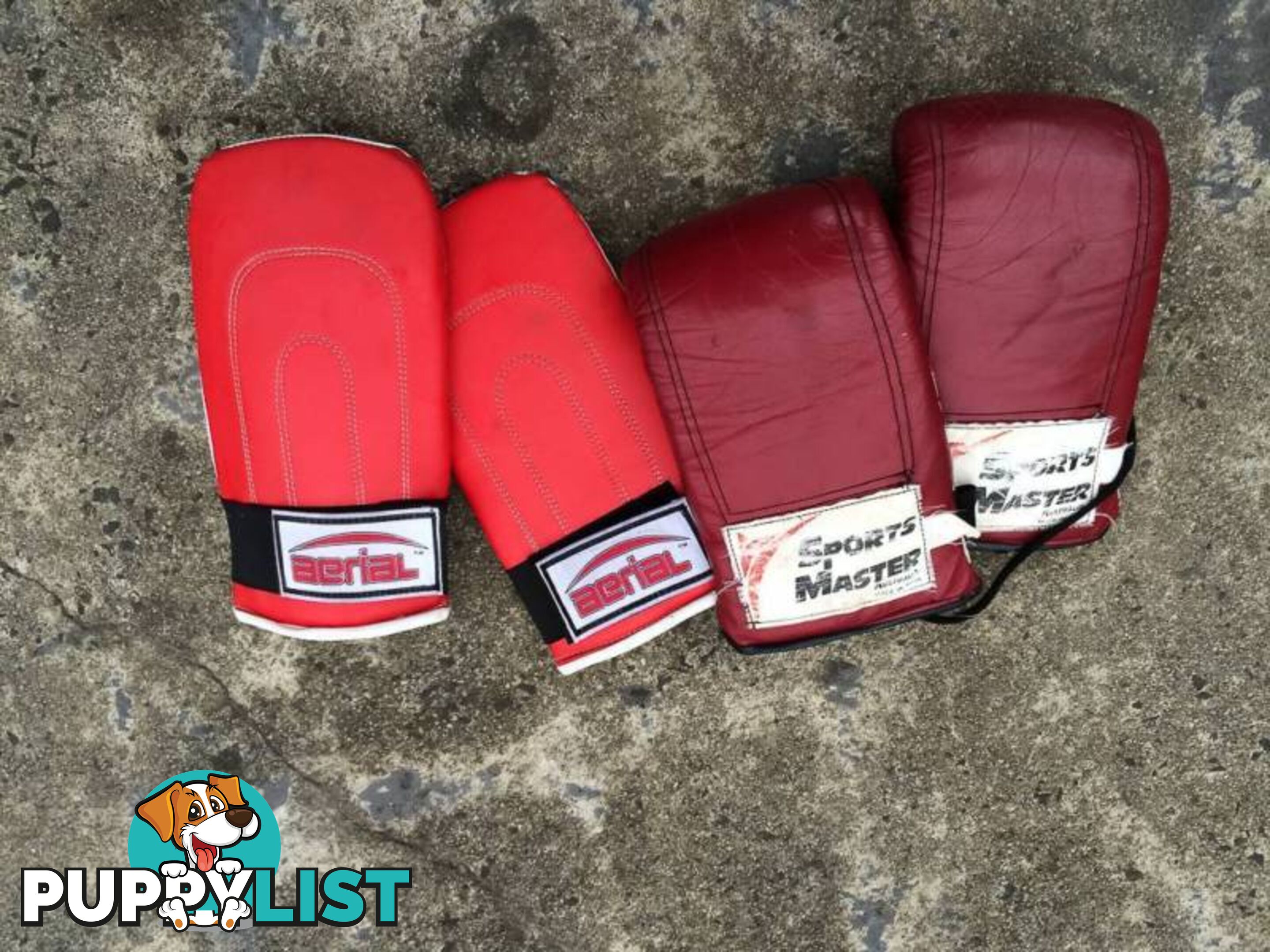 2 PAIRS OF BOXING GLOVES