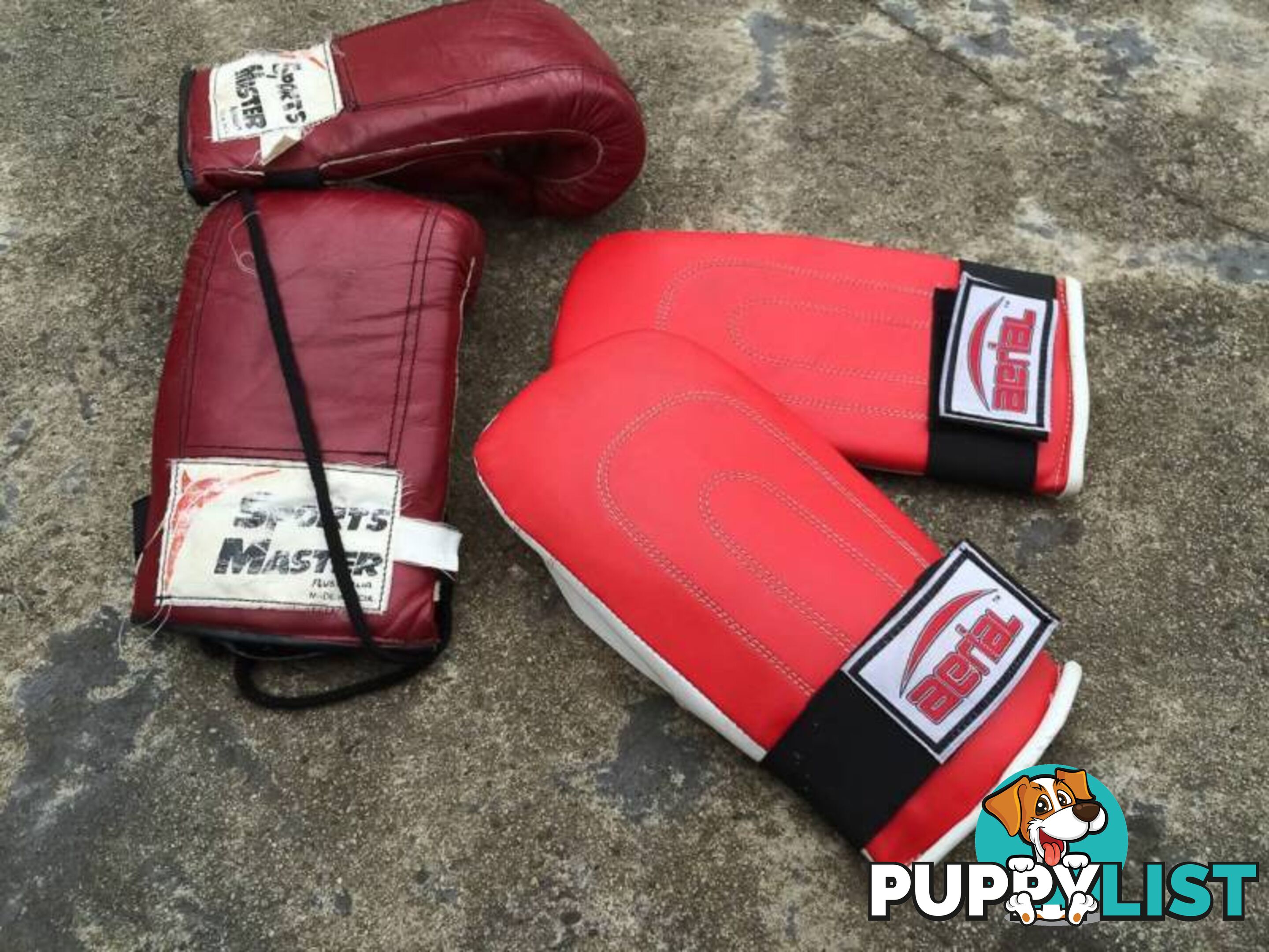 2 PAIRS OF BOXING GLOVES