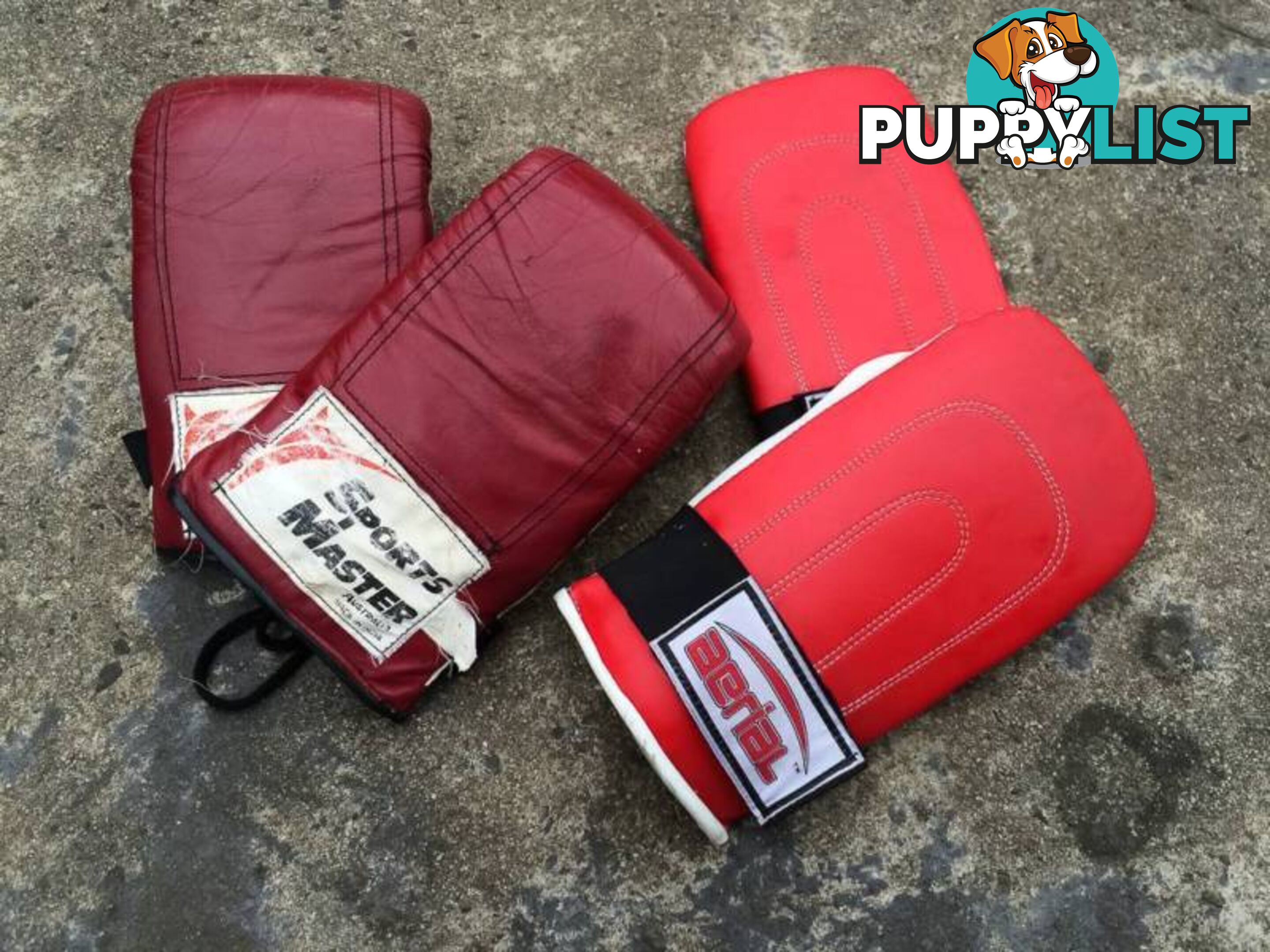 2 PAIRS OF BOXING GLOVES