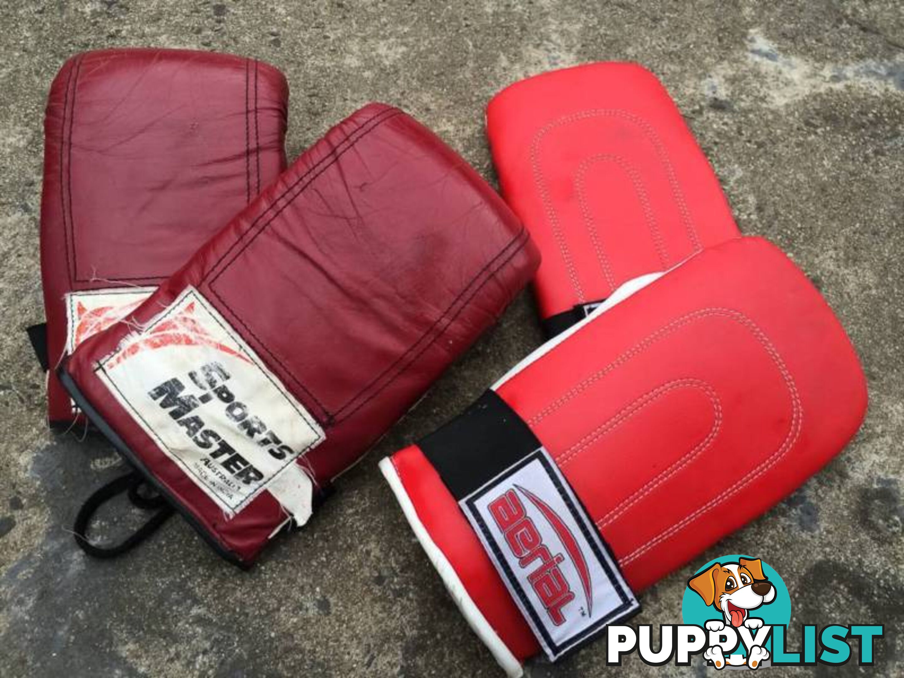 2 PAIRS OF BOXING GLOVES