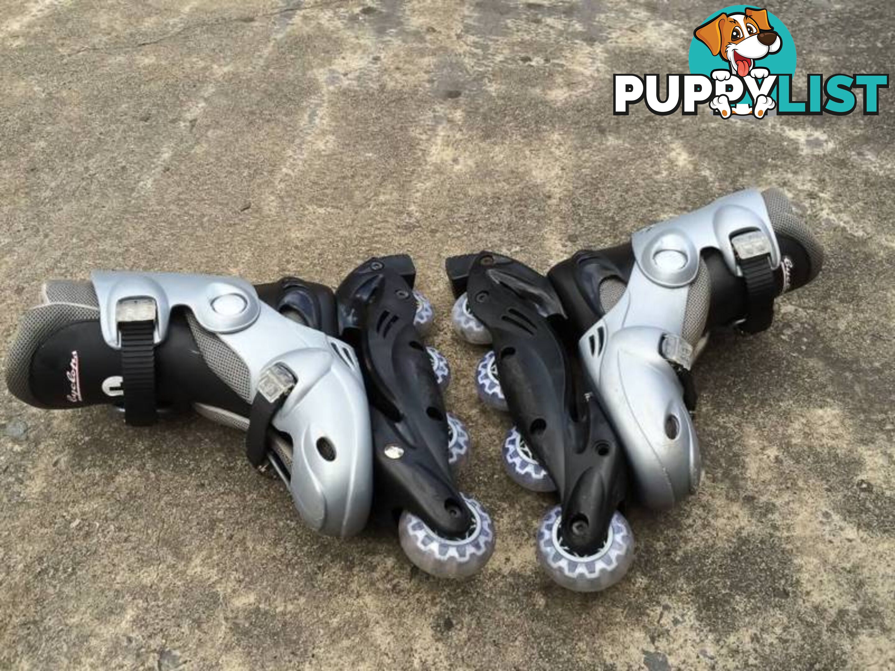 SIZE LARGE ROLLERBLADES IN GOOD CONDITION