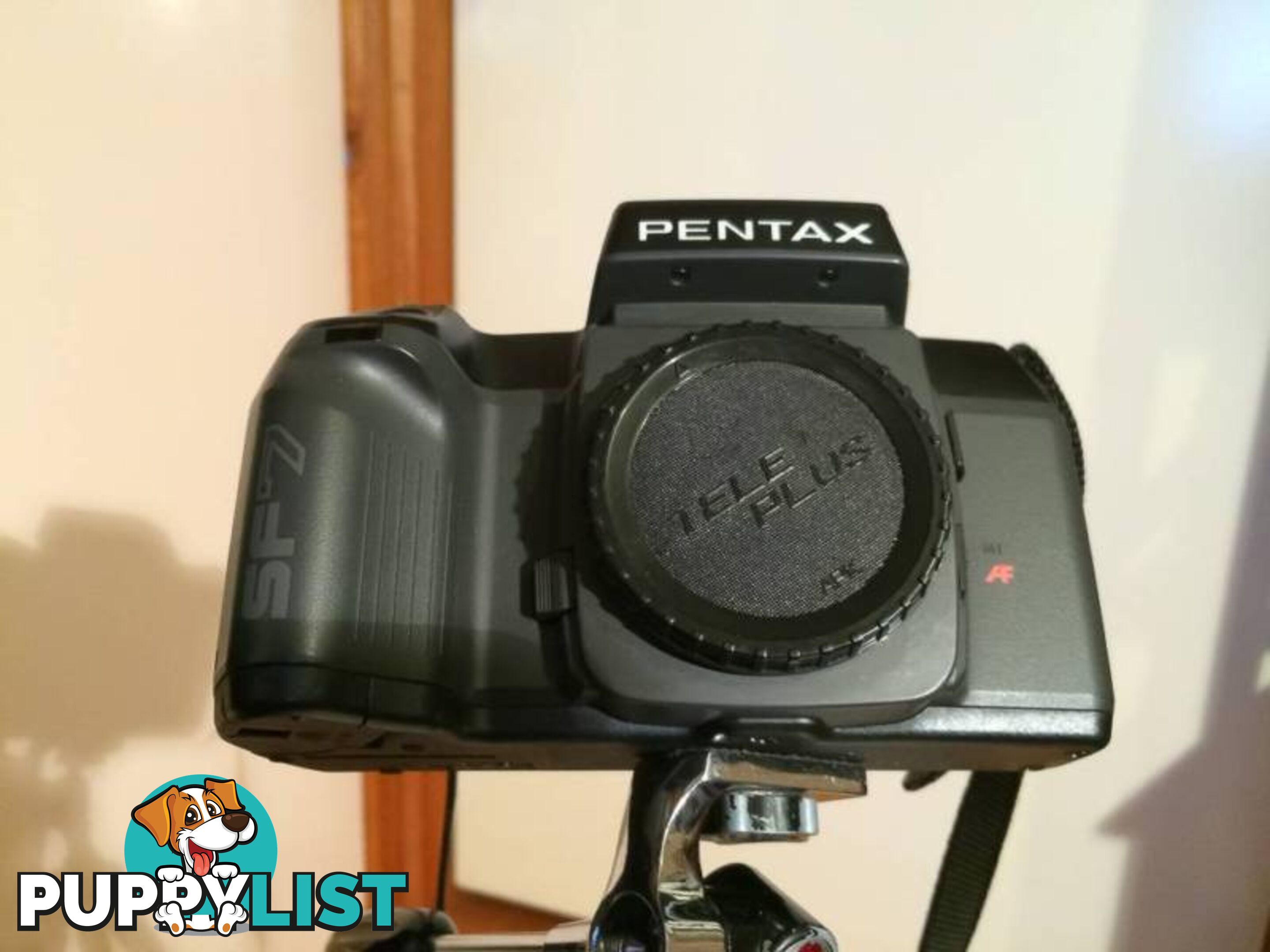 Pentax SF-7 SLR AF 35MM FILM CAMERA ( BODY ONLY)