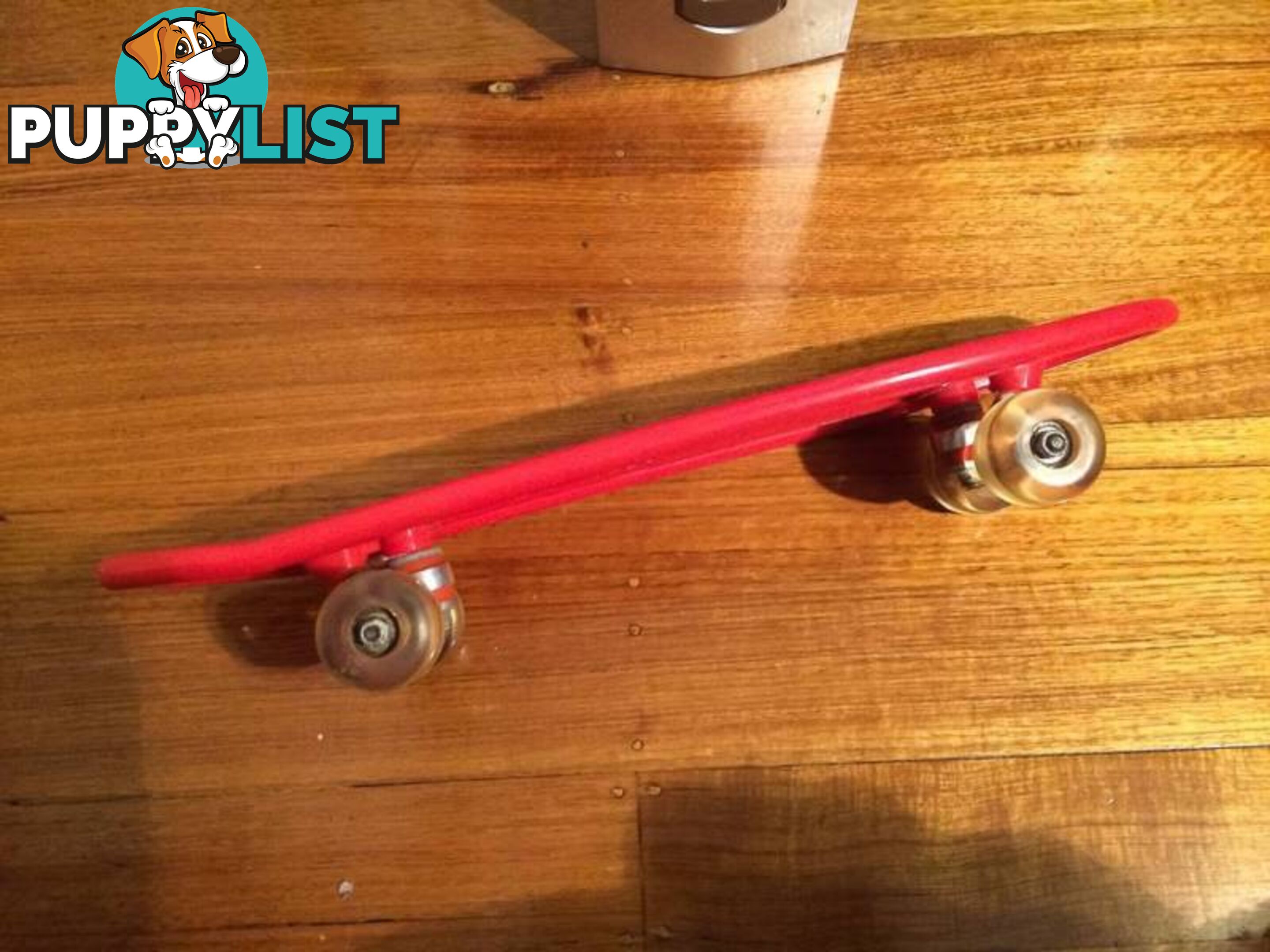 BRAND NEW 55CM LONG SKATEBOARD