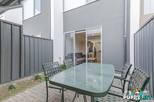 10 7 St Kitts Place Mawson Lakes SA 5095