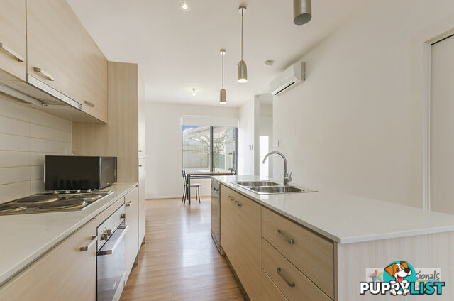 10 7 St Kitts Place Mawson Lakes SA 5095