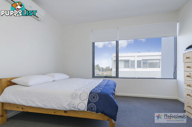 10 7 St Kitts Place Mawson Lakes SA 5095