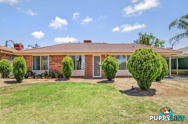 24 McInerney Court Andrews Farm SA 5114