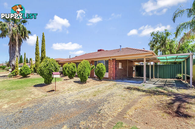 24 McInerney Court Andrews Farm SA 5114