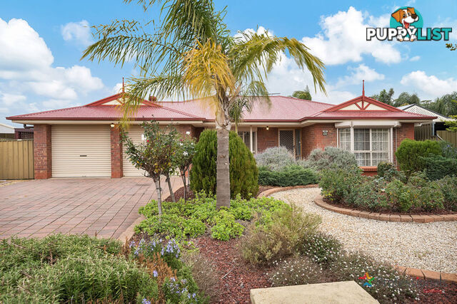 42 Crawford Grove Andrews Farm SA 5114