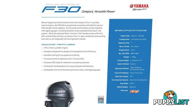 Quintrex F390 Explorer  + Yamaha F30hp 4-Stroke - Pack 3 for sale online prices