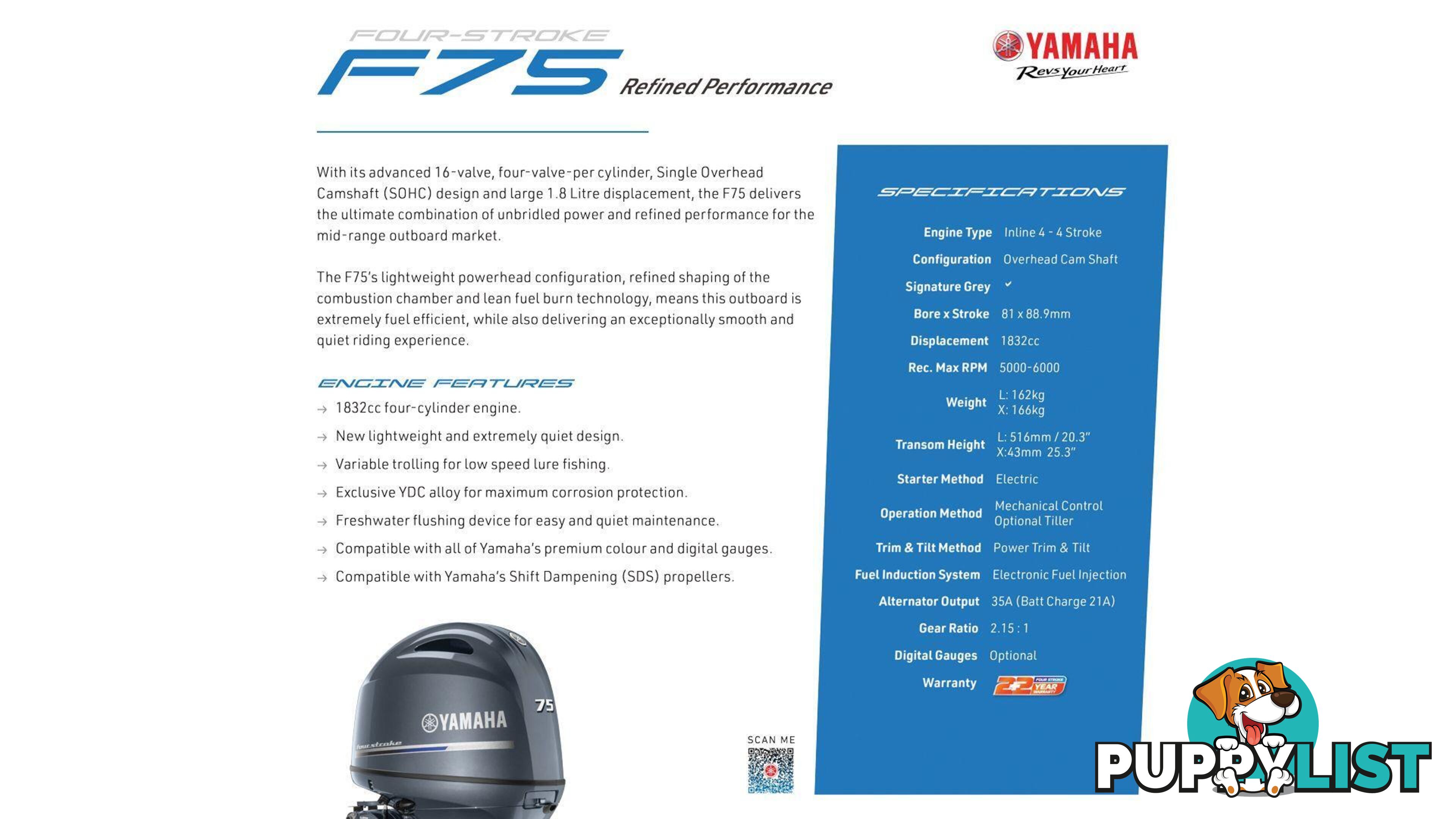 Quintrex 600 Fishseeker + Yamaha F75hp 4-Stroke - Pack 1 for sale online prices