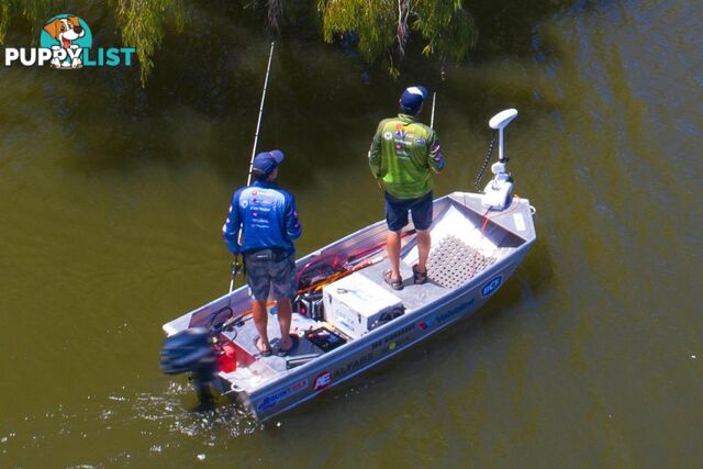 Quintrex 360 Wanderer Car Topper, Trailer, Yamaha F6hp 4-Stroke