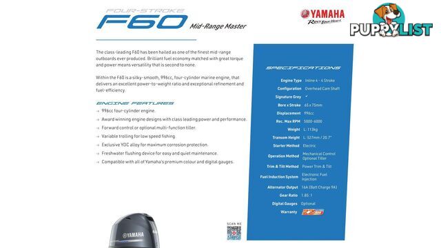 Quintrex 430 Fishabout + Yamaha F60hp 4-Stroke - Pack 2 for sale online prices