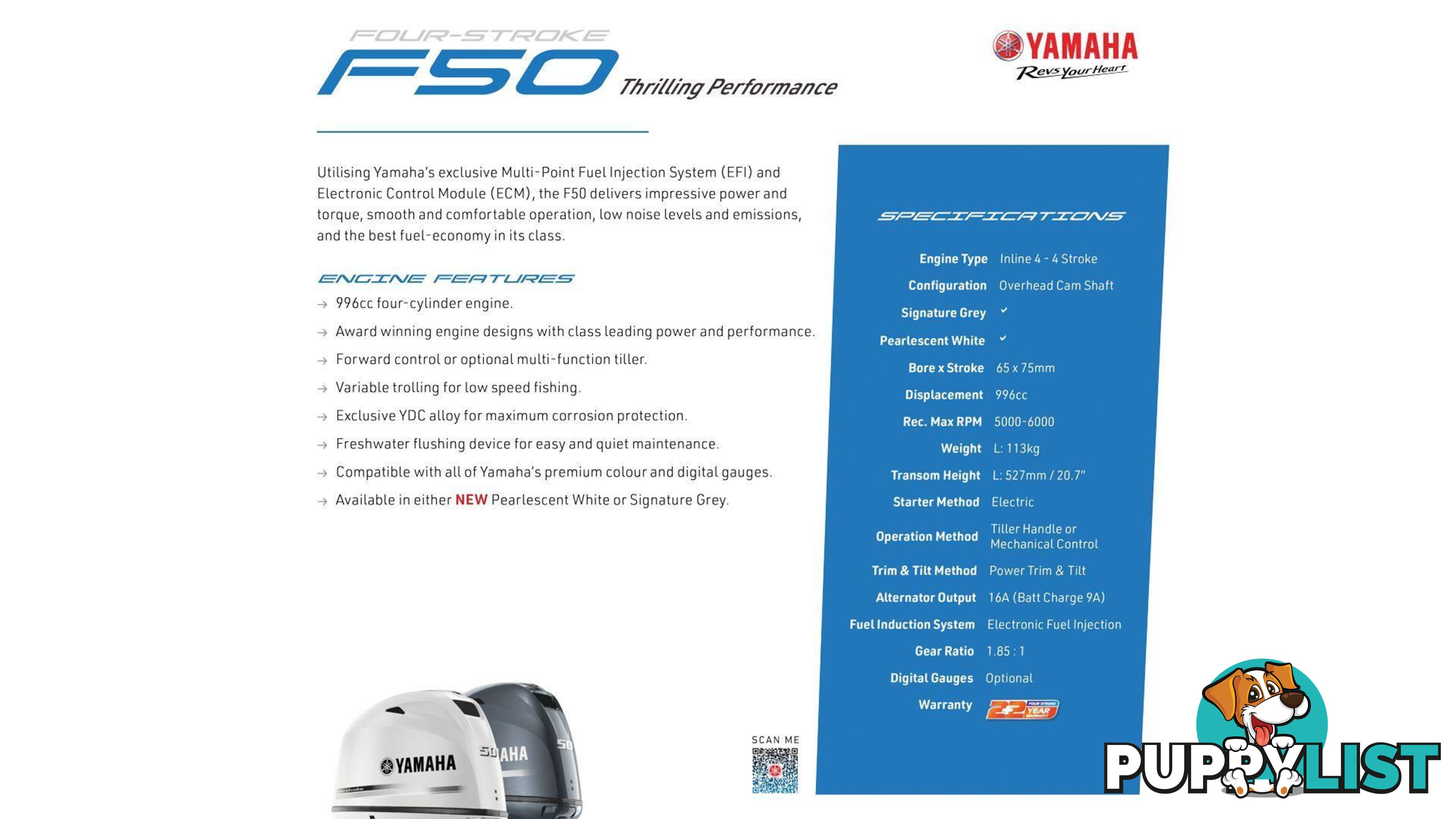 Quintrex 440 Busta + Yamaha F50hp 4-Stroke - Pack 1 for sale online prices