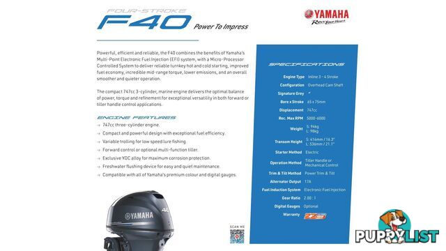 Quintrex 420 Busta + Yamaha F40hp 4-Stroke - Pack 1 for sale online prices