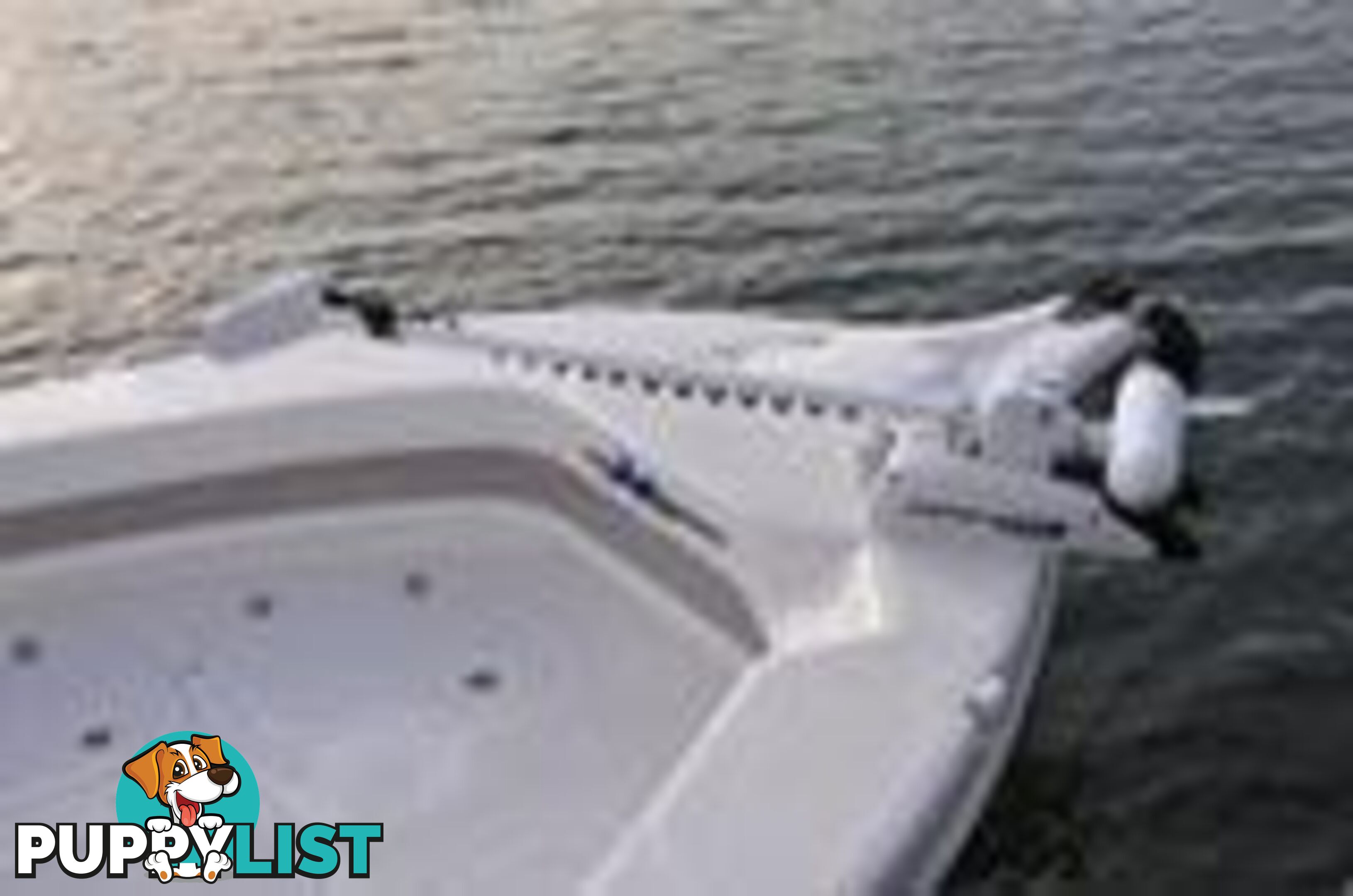 2025 EVOLUTION 552 AXIS CENTRE CONSOLE WITH YAMAHA 150HP FOURSTROKE FOR SALE