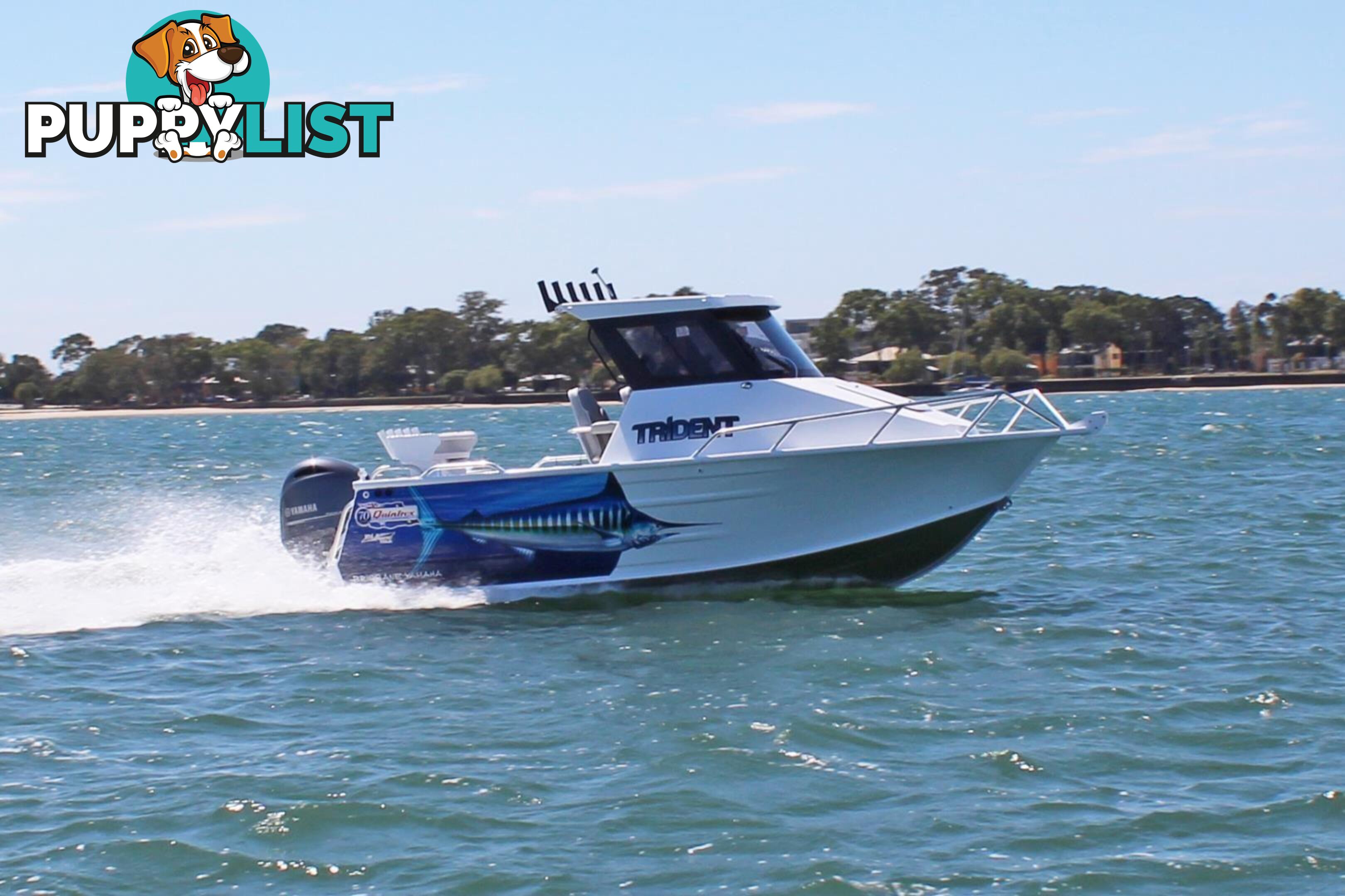 Quintrex 610 Trident Hard Top + Yamaha F150hp 4-Stroke - Pack 2 for sale online prices