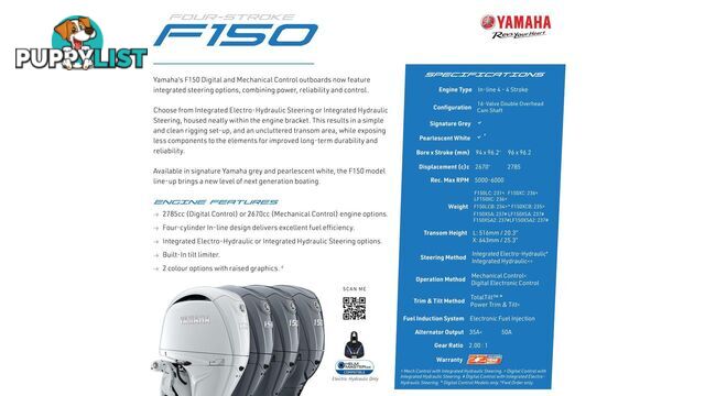 590 FREESTYLER PRO - GET READY TO TURN HEADS!