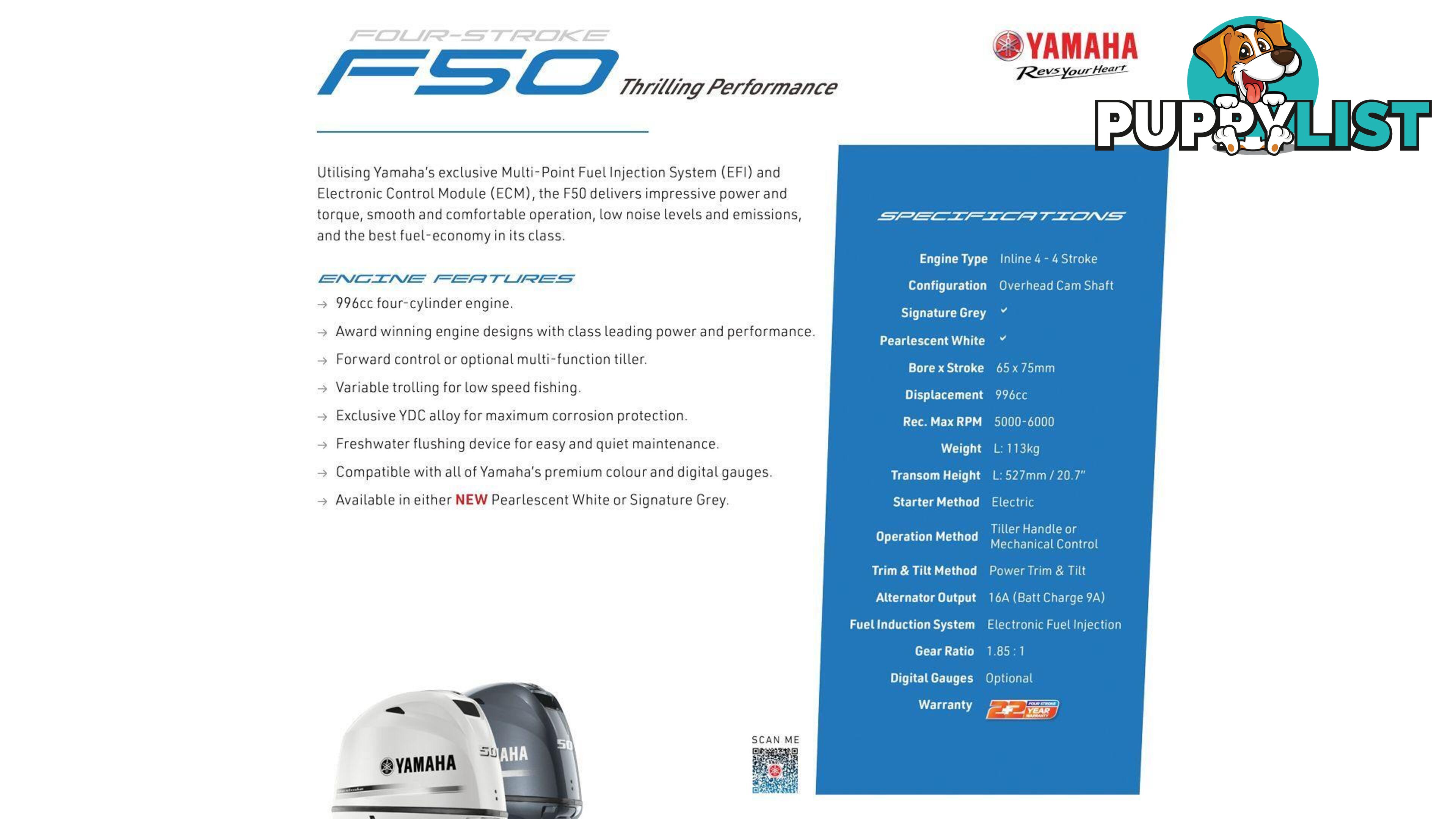 Quintrex 430 Fishabout + Yamaha F60hp 4-Stroke - Pack 1 for sale online prices