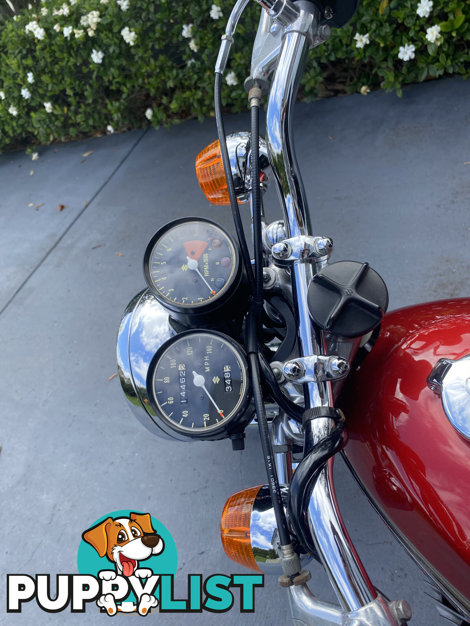1974 Suzuki T500