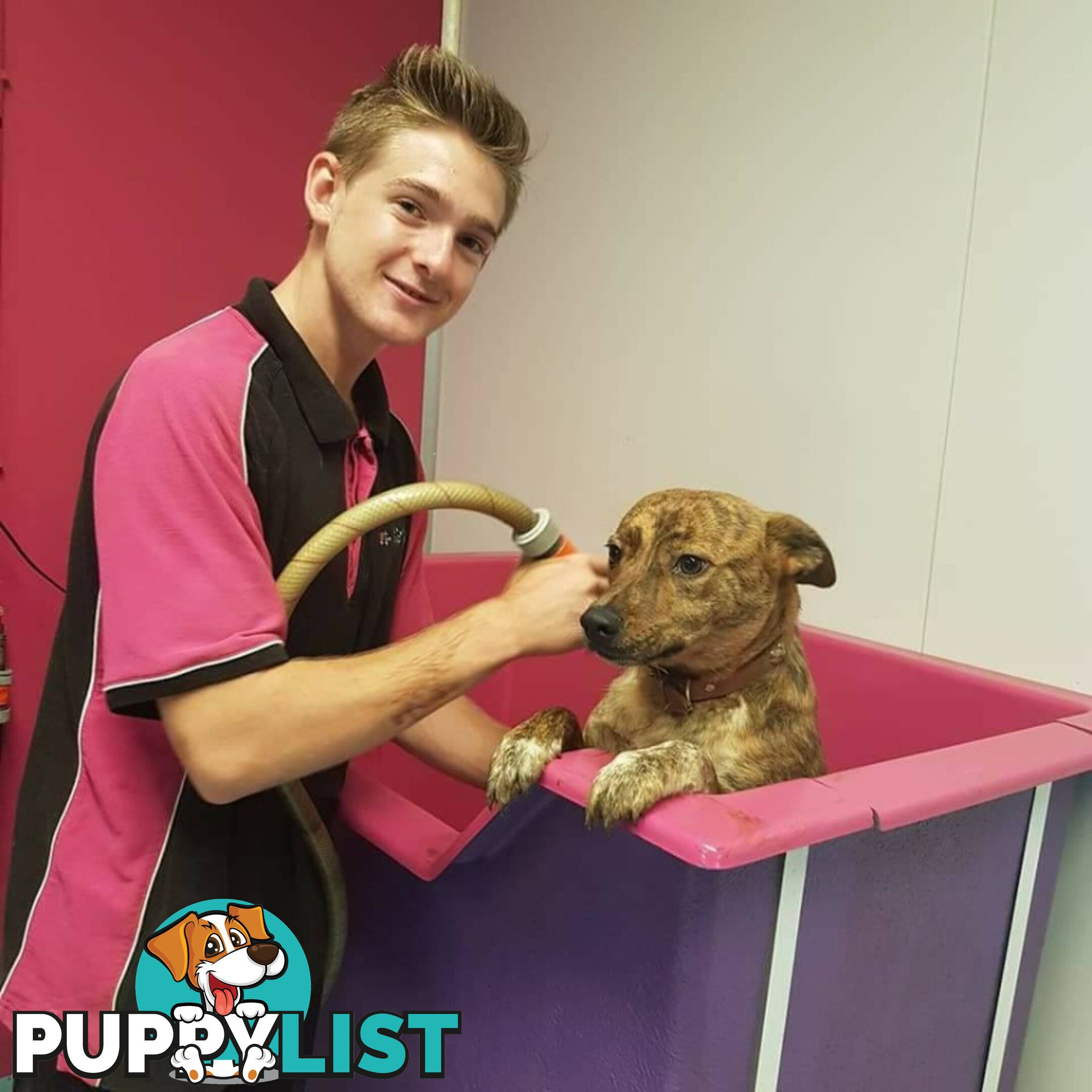 Grooming & Hydrobaths 7 days