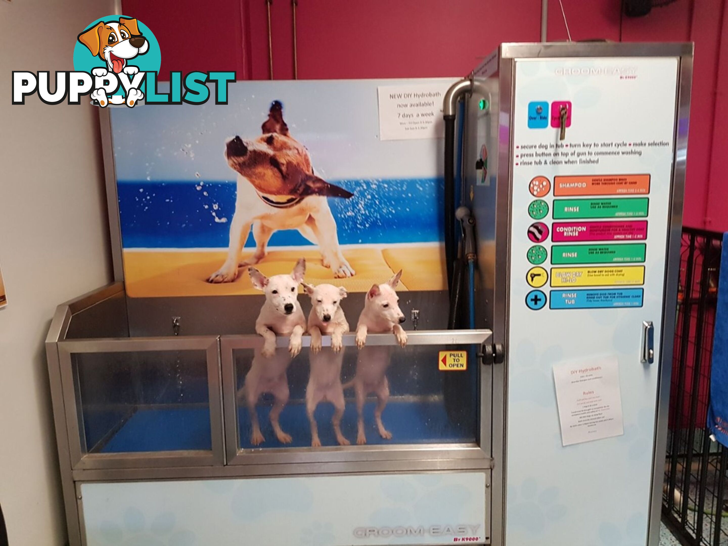 Grooming & Hydrobaths 7 days