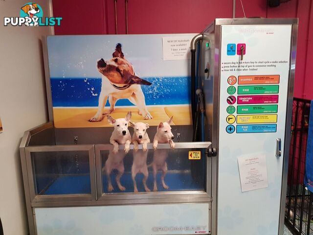 Grooming & Hydrobaths 7 days