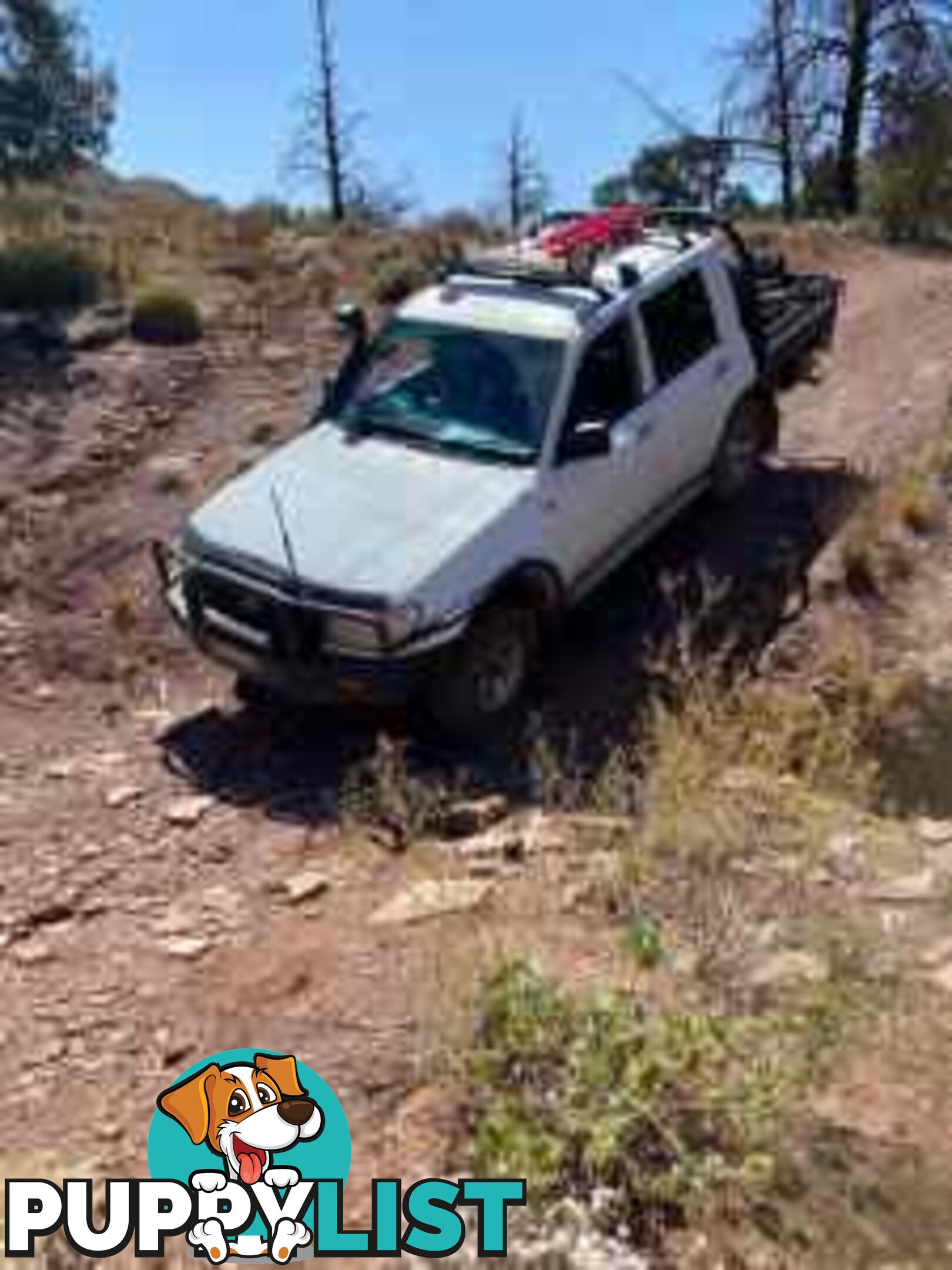 2004 Toyota Landcruiser Ute Manual