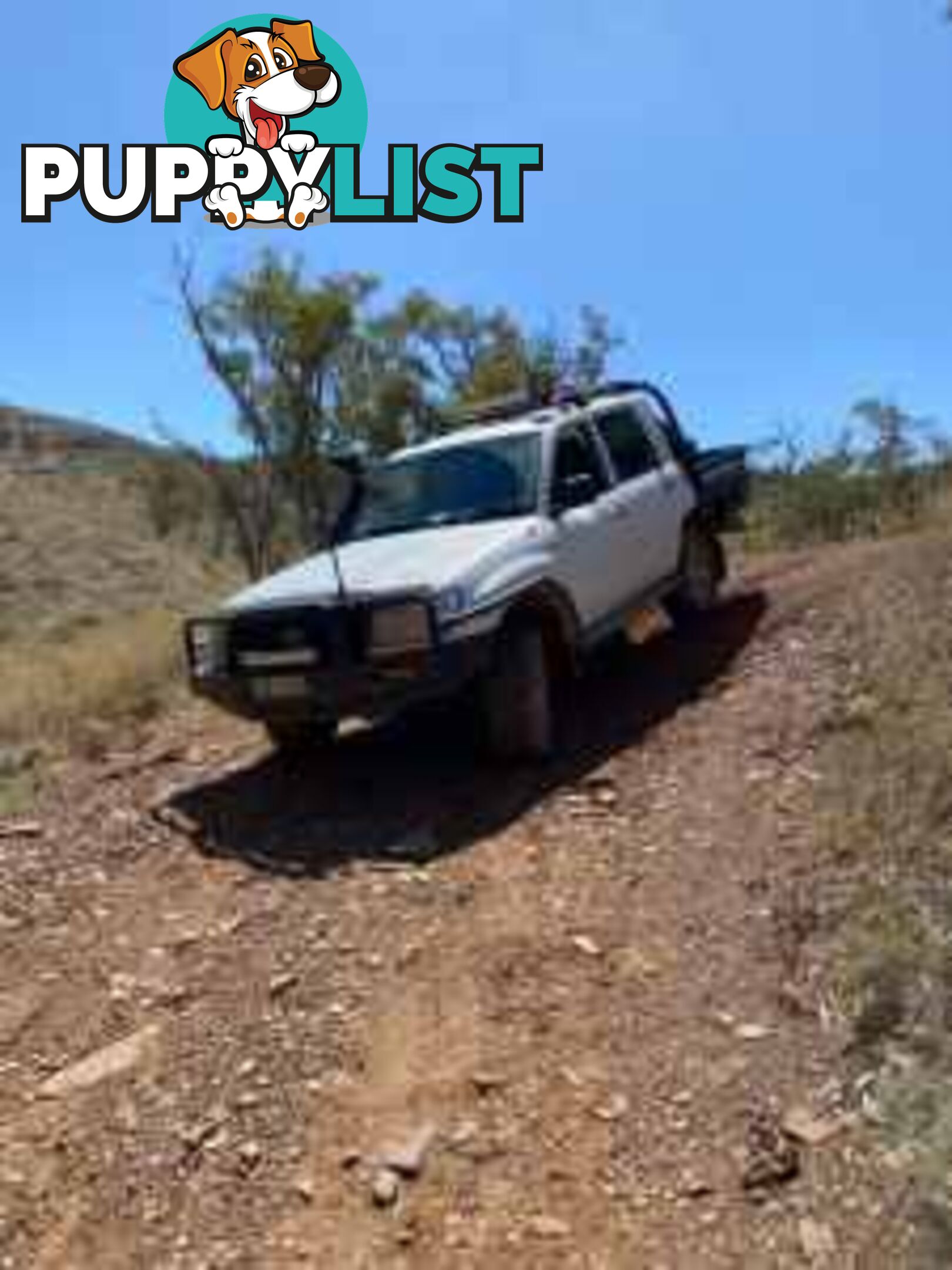 2004 Toyota Landcruiser Ute Manual