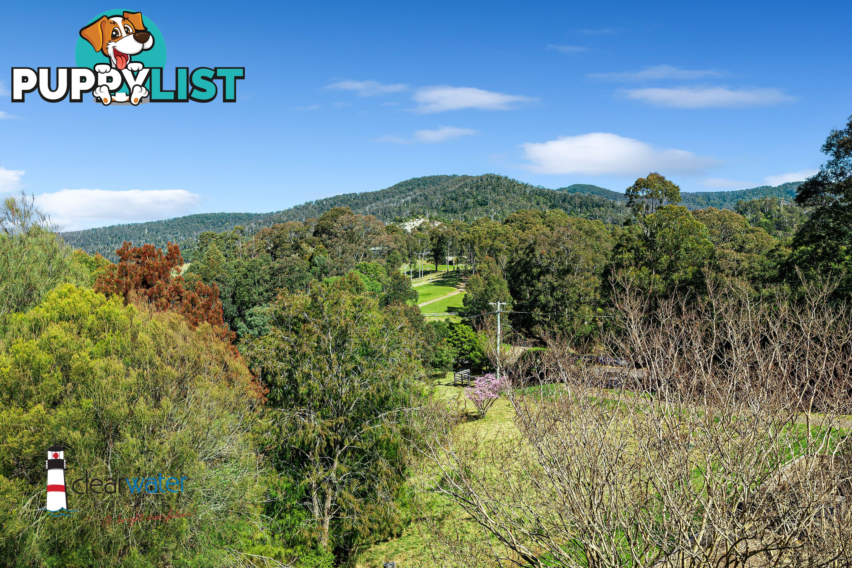 459 Ridge Rd Central Tilba NSW 2546