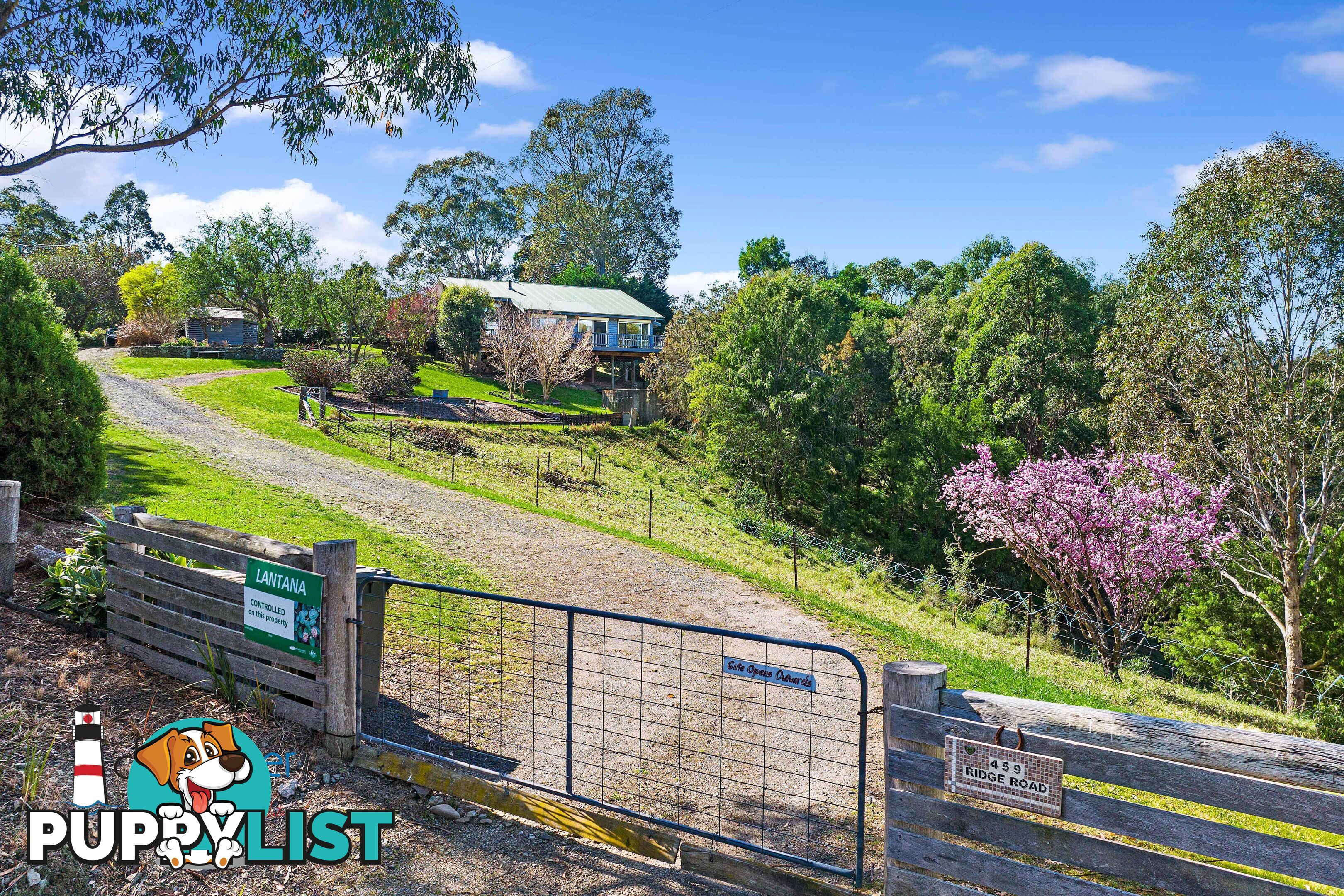 459 Ridge Rd Central Tilba NSW 2546