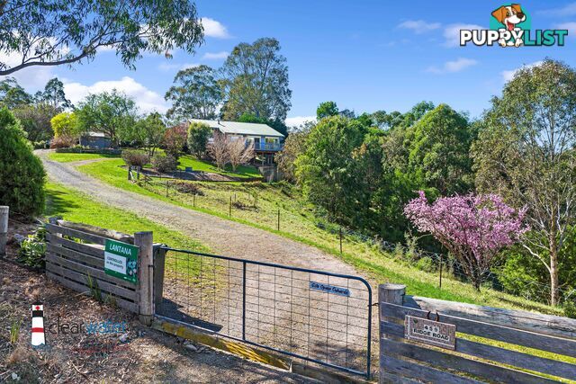 459 Ridge Rd Central Tilba NSW 2546