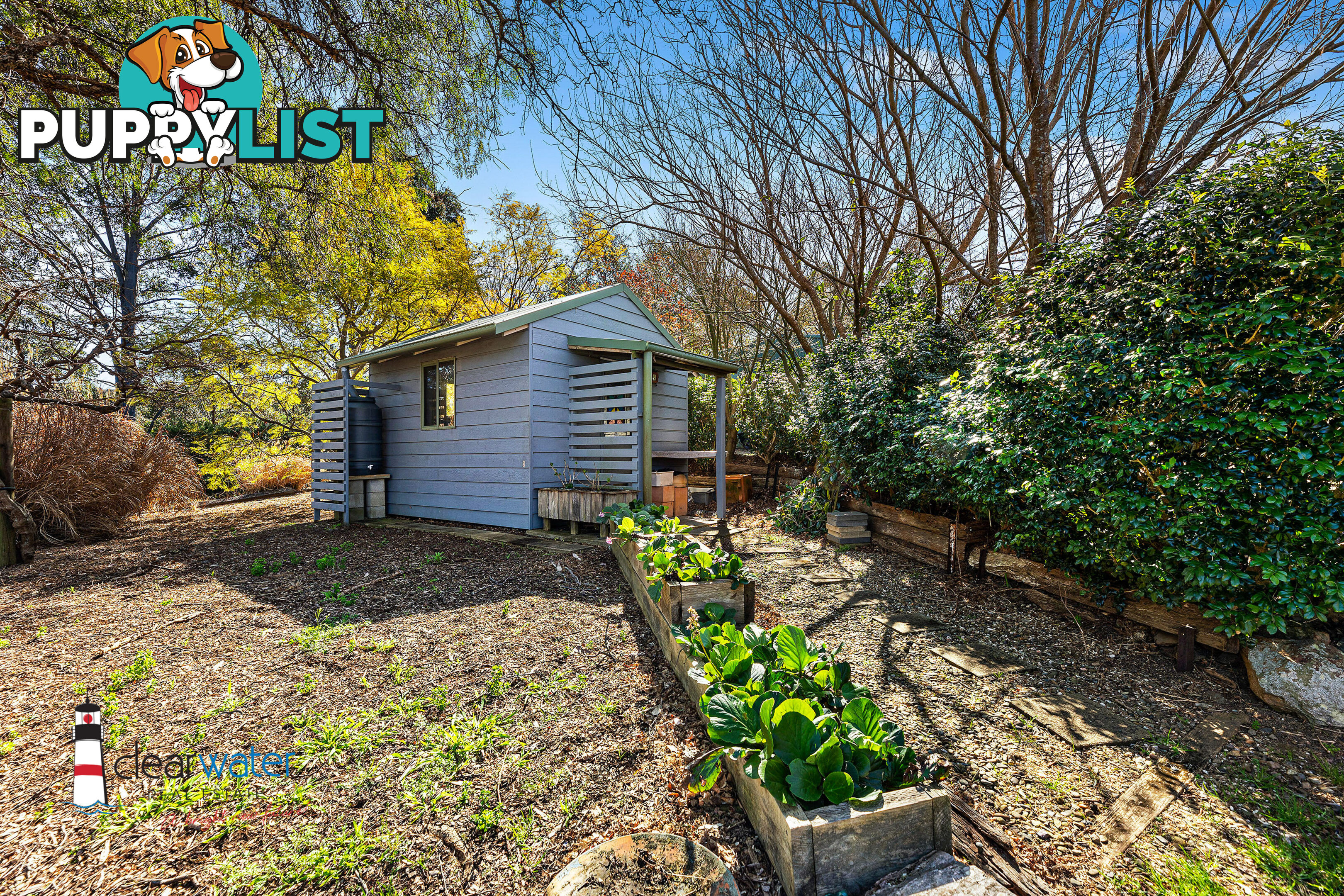 459 Ridge Rd Central Tilba NSW 2546