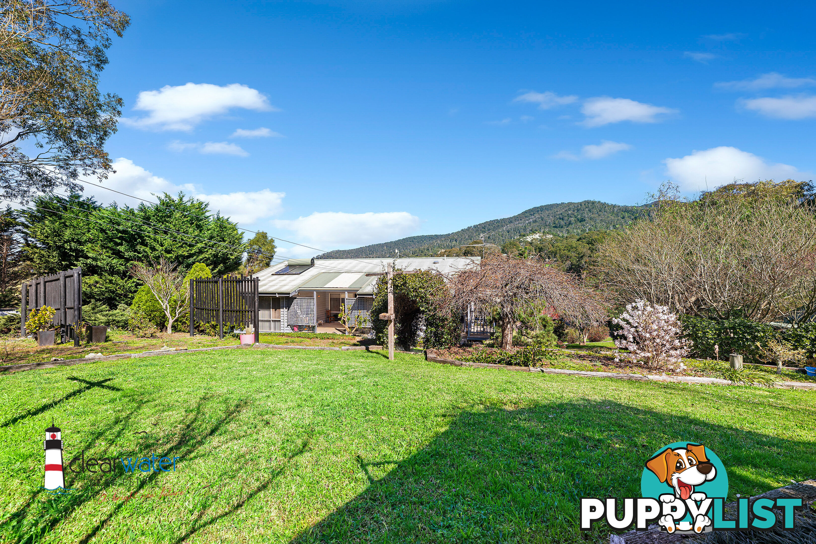 459 Ridge Rd Central Tilba NSW 2546