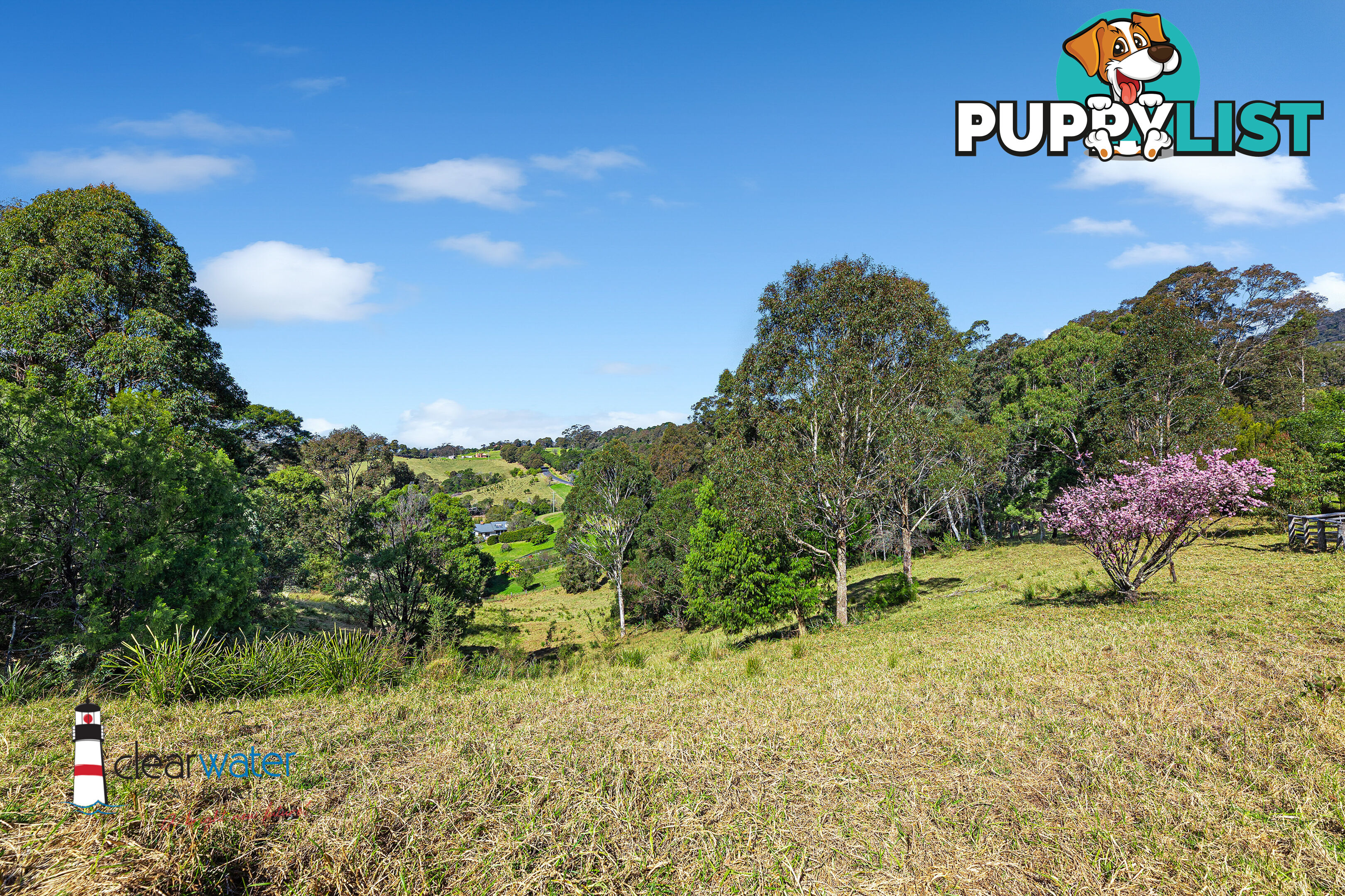 459 Ridge Rd Central Tilba NSW 2546