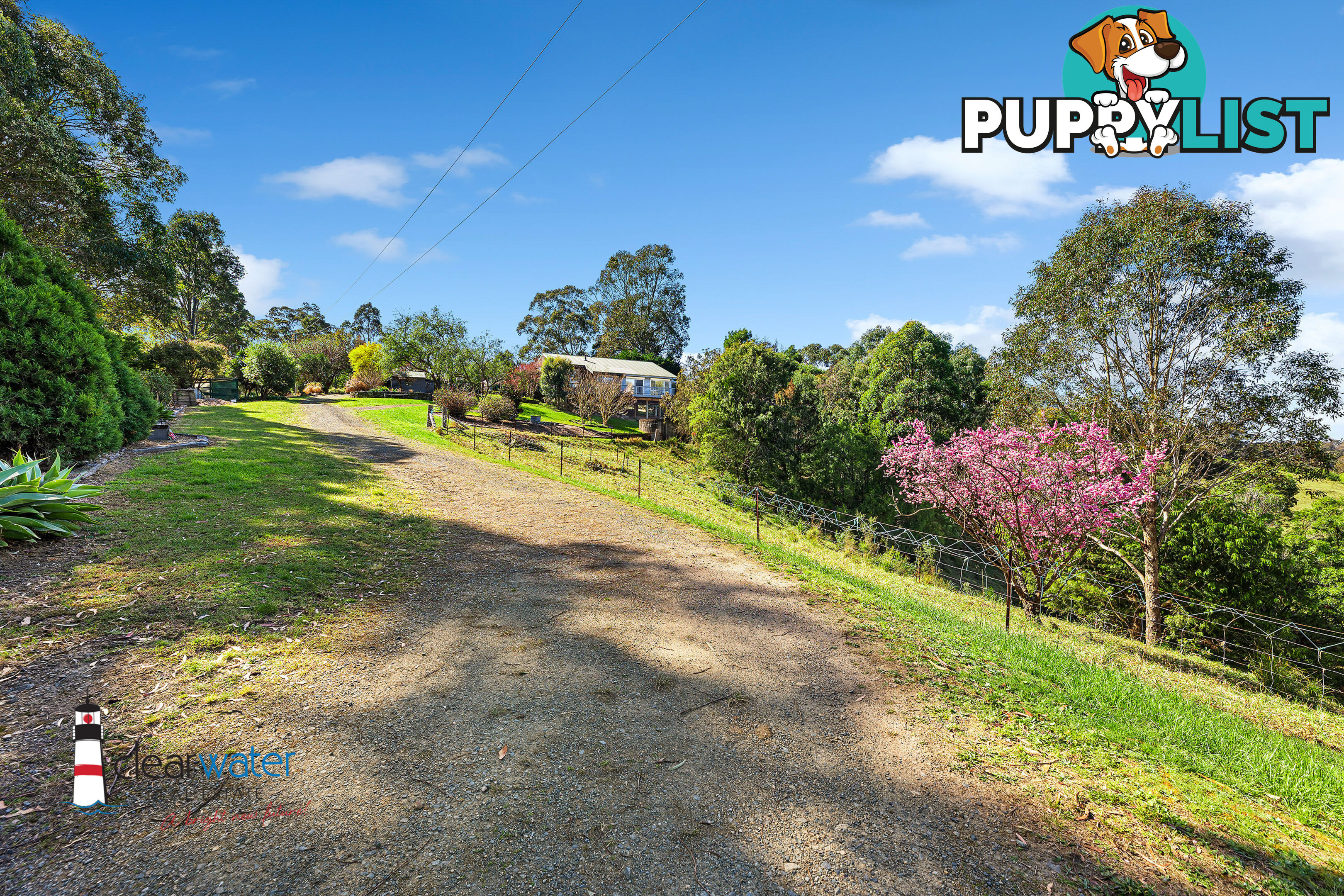 459 Ridge Rd Central Tilba NSW 2546