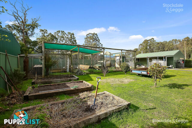 38 Tarnpirr Road NARBETHONG VIC 3778