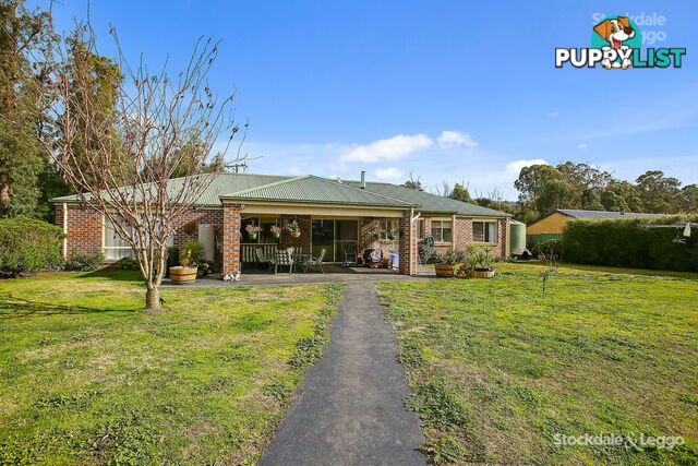 38 Tarnpirr Road NARBETHONG VIC 3778